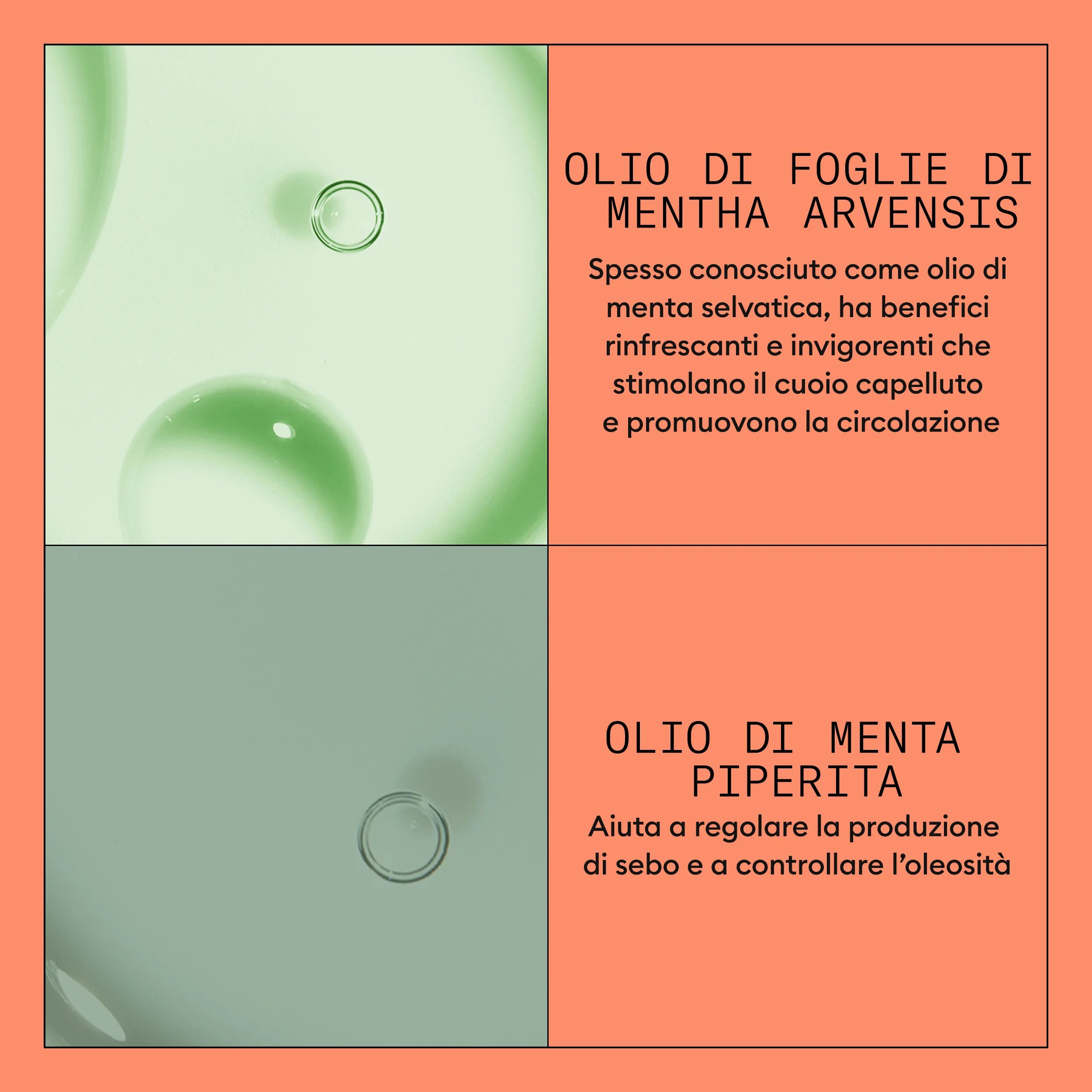 Nioxin_Sistema 4 Conditioner 1000ml_Italy-54_4_E