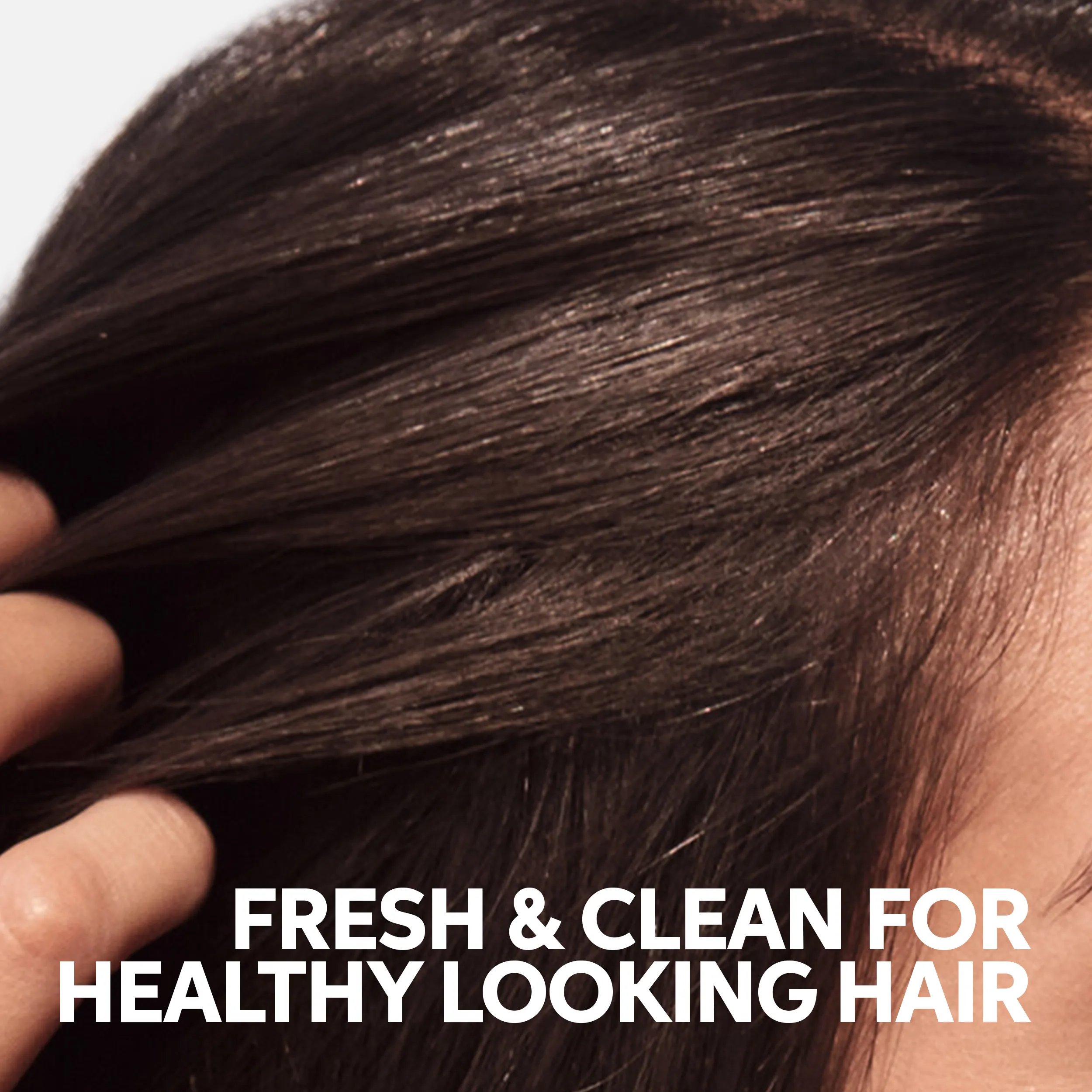 Close-up of a woman's scalp with fingers running through her dark brown hair, with text reading 'Fresh & clean, healthy-looking hair'.