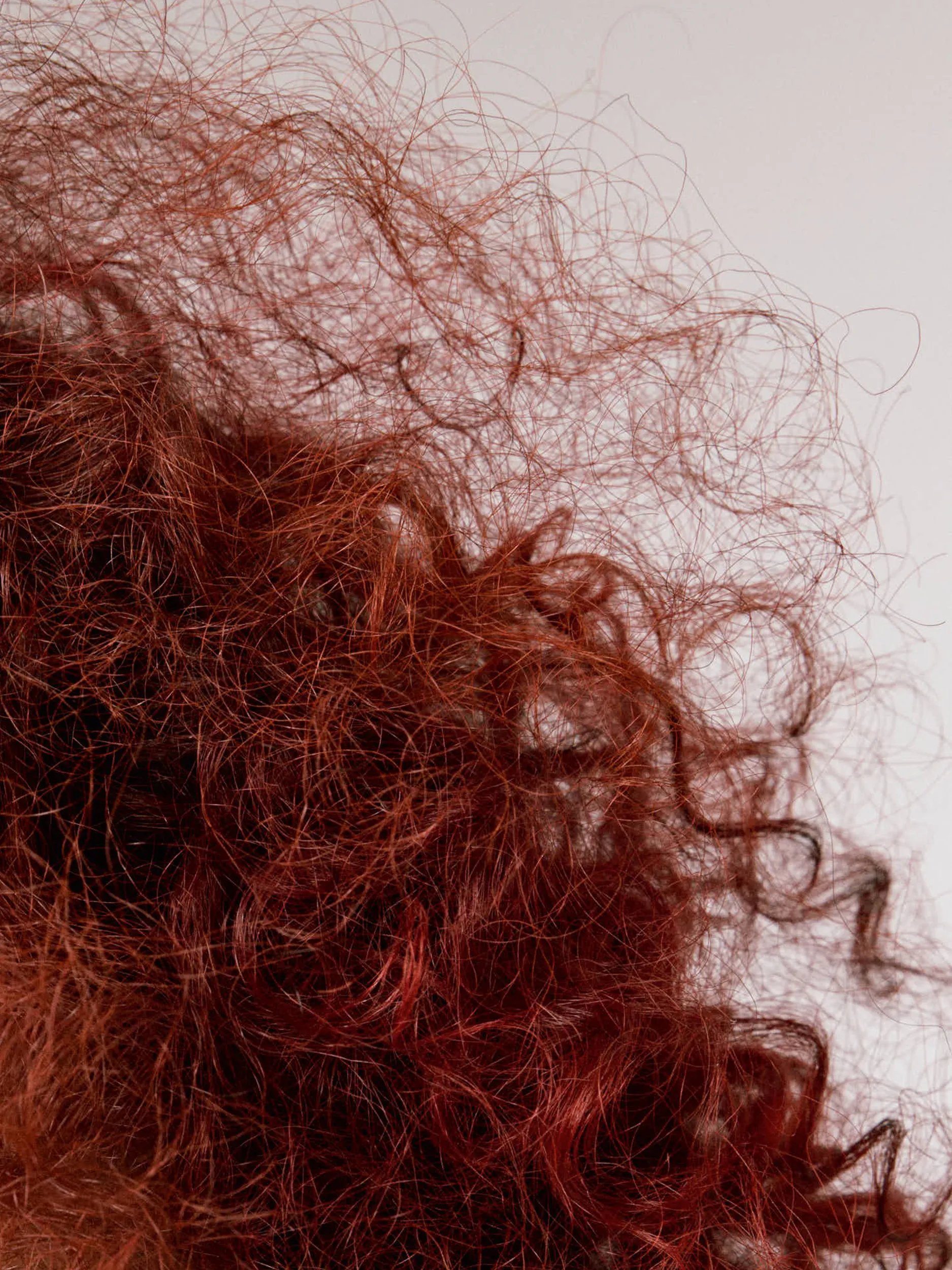Close up of red, curly hair with frizz.