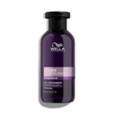 Produktbild des ULTIMATE COLOR Blonde Onyx Shampoos.