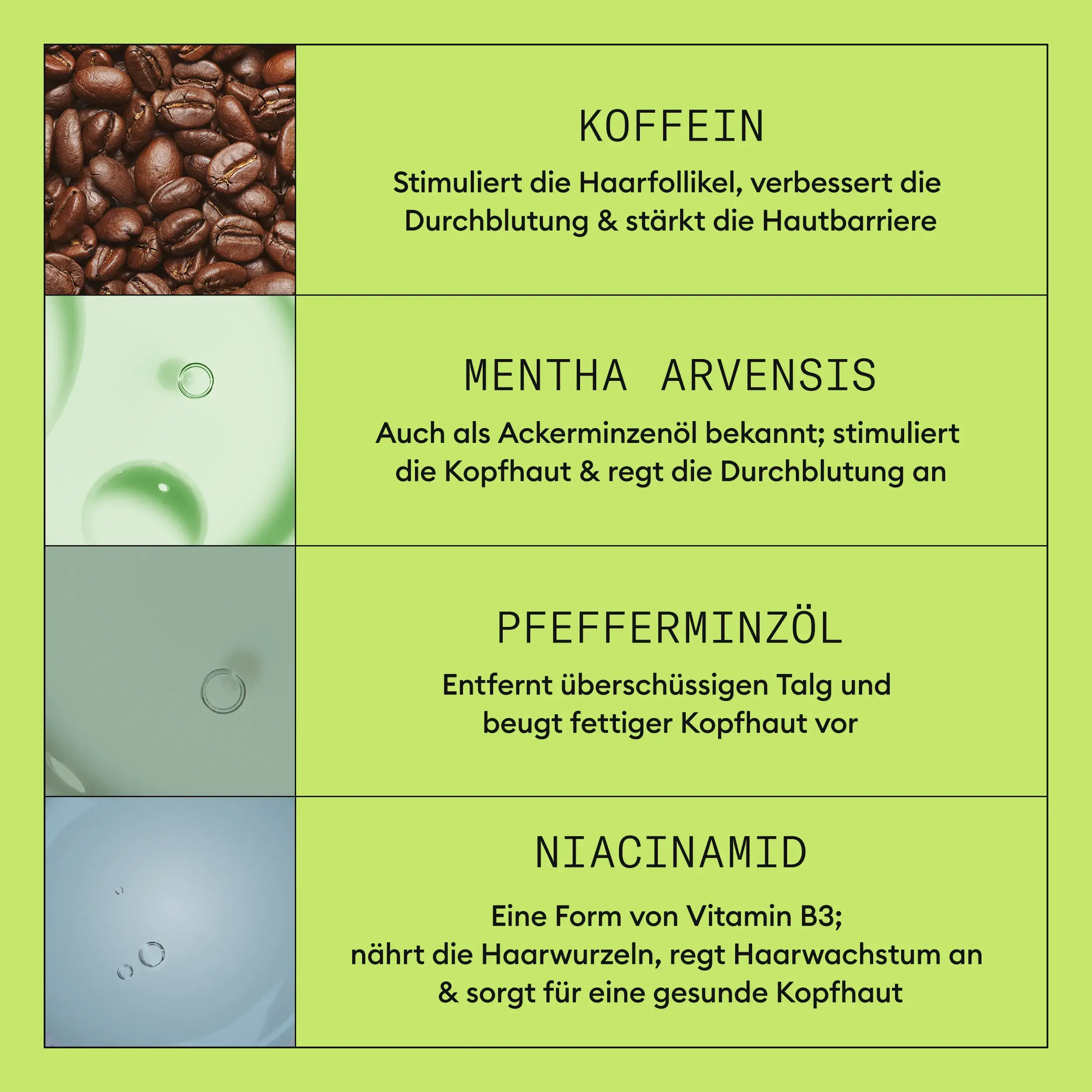 system kit 2 Inhaltsstoffe