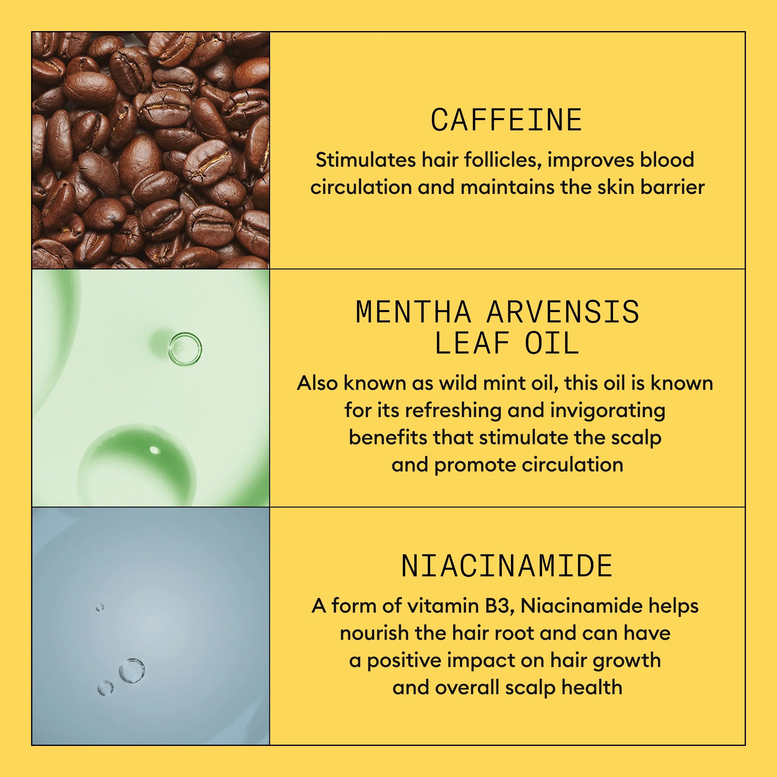 nioxin system kit 1 leave on treatment ingredients: caffeine, wild mint oil and niacinamide 