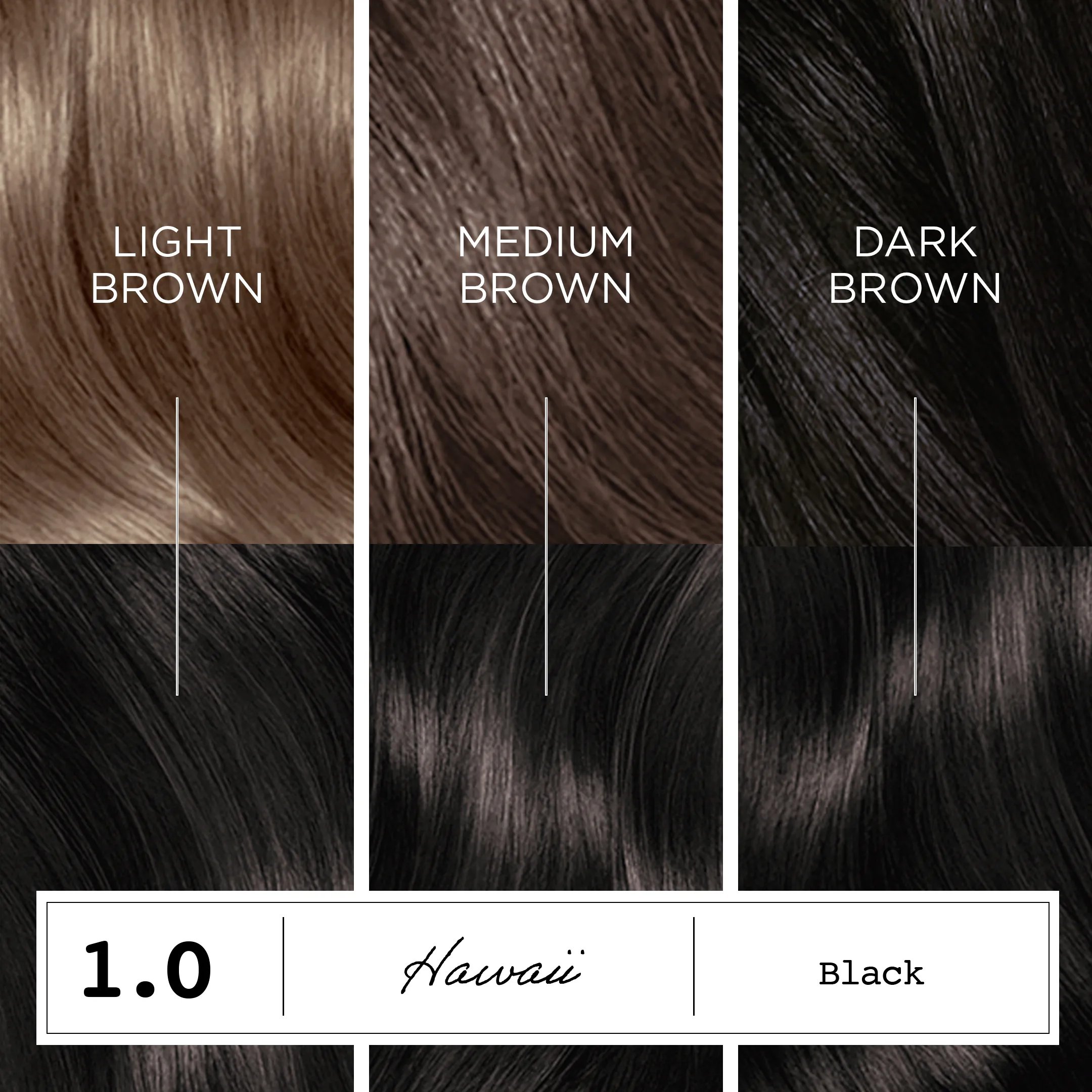 Destination: Your Dream Hair Color