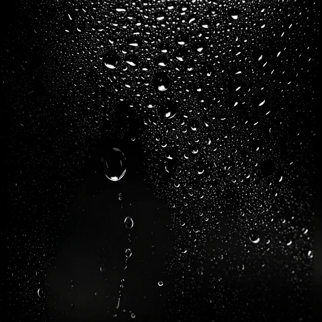 Sebastian_Restage_2025_Shine_Define_Texture