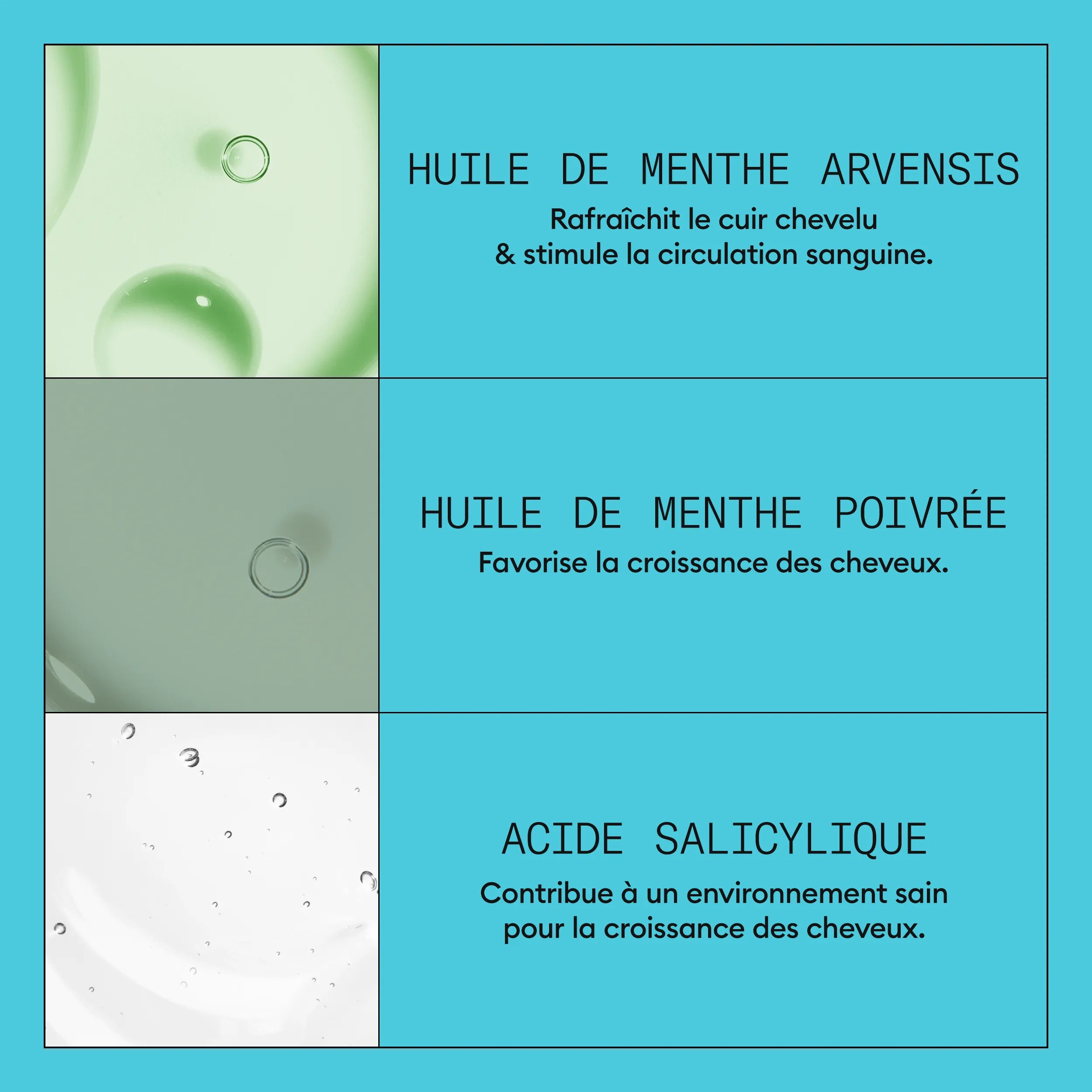 Nioxin System 3 Kit Shampoo ingredient infograph