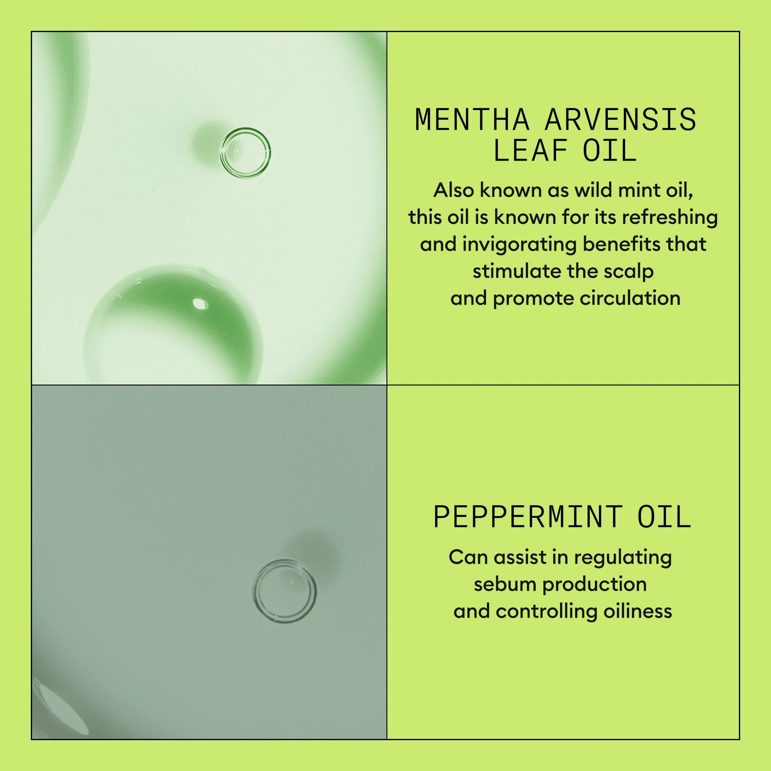 nioxin system kit 2 conditioner