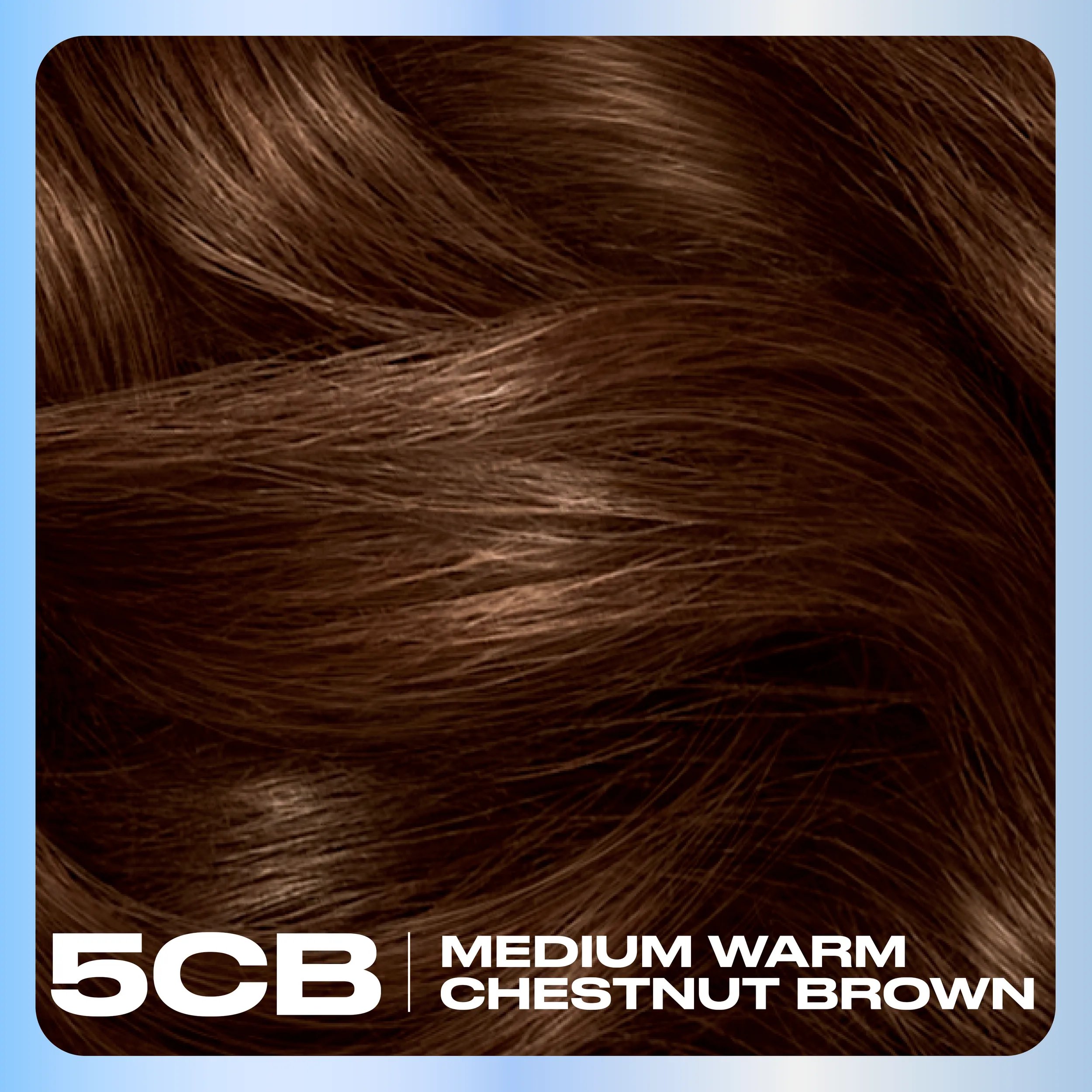 Clairol_Nice_N_Easy_Hair_Color_Base_Content_5CB Medium Warm Chestnut Brown