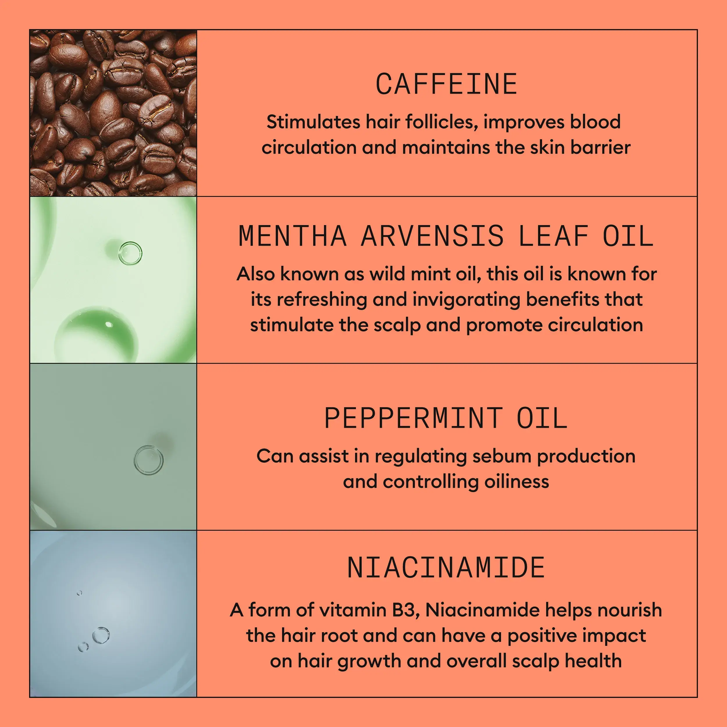 Infografía de los ingredientes del kit de Sistema 4 de Nioxin