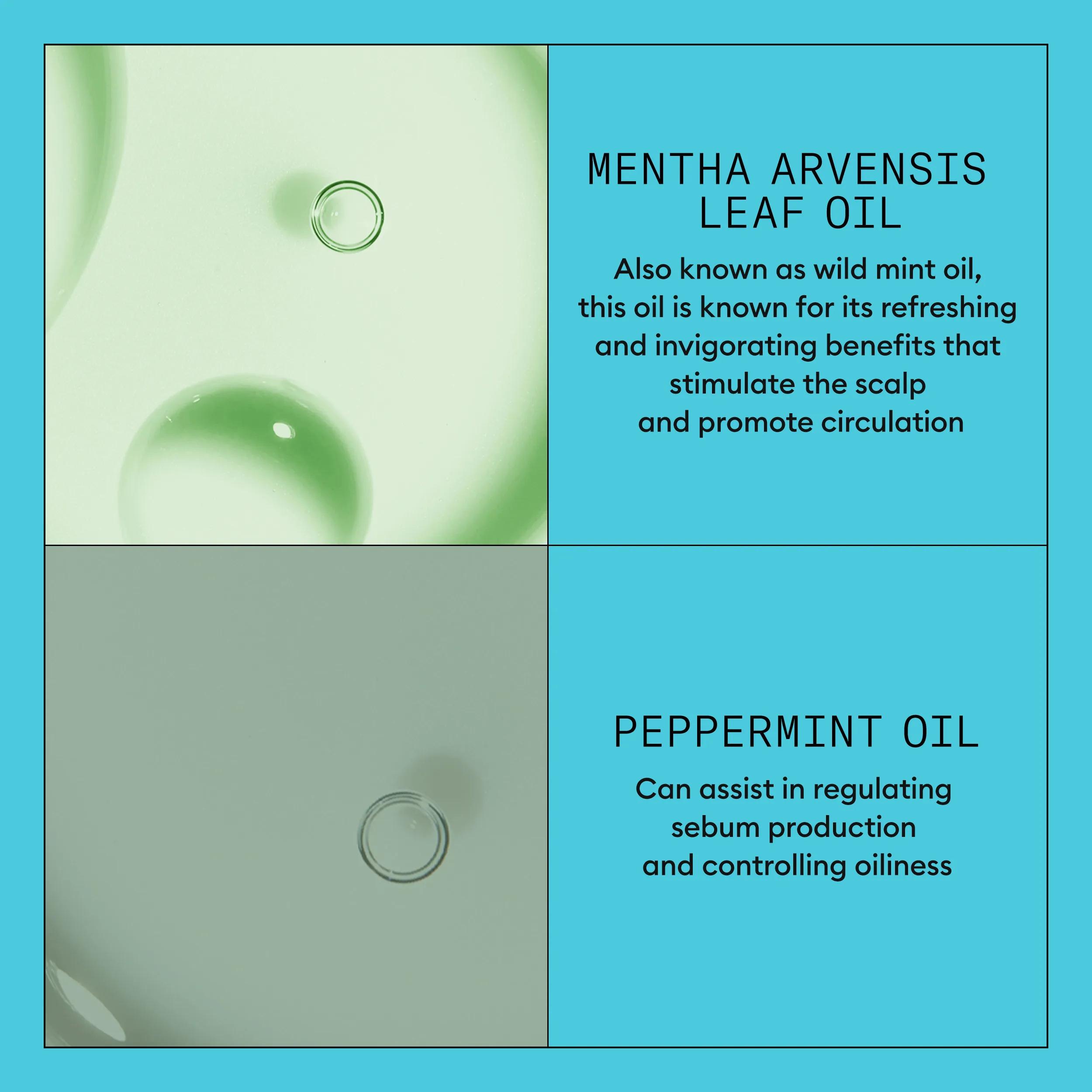 Nioxin Scalp + Hair Thickening System 3 Conditioner | Nioxin