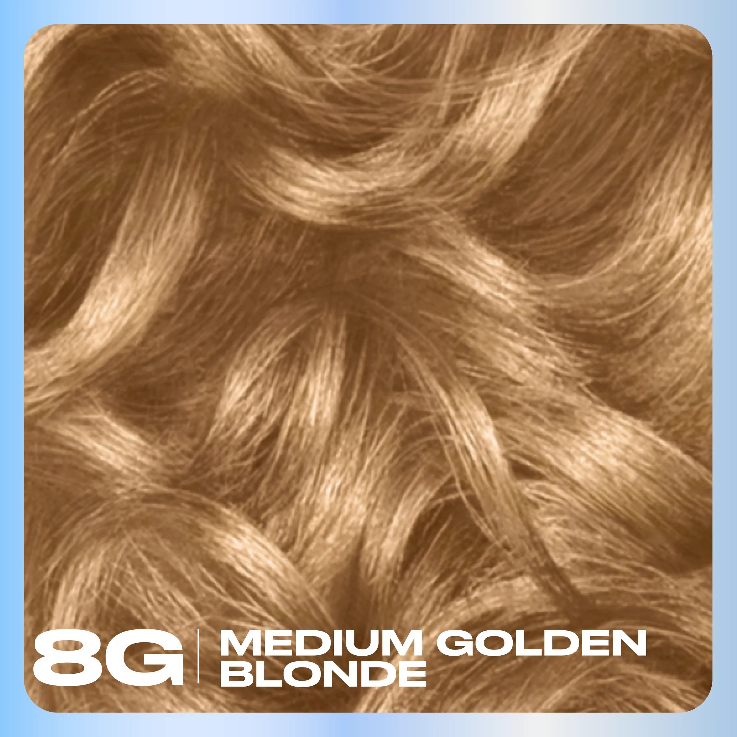 Clairol_Nice_N_Easy_Hair_Color_Base_Content_8G Medium Golden Blonde