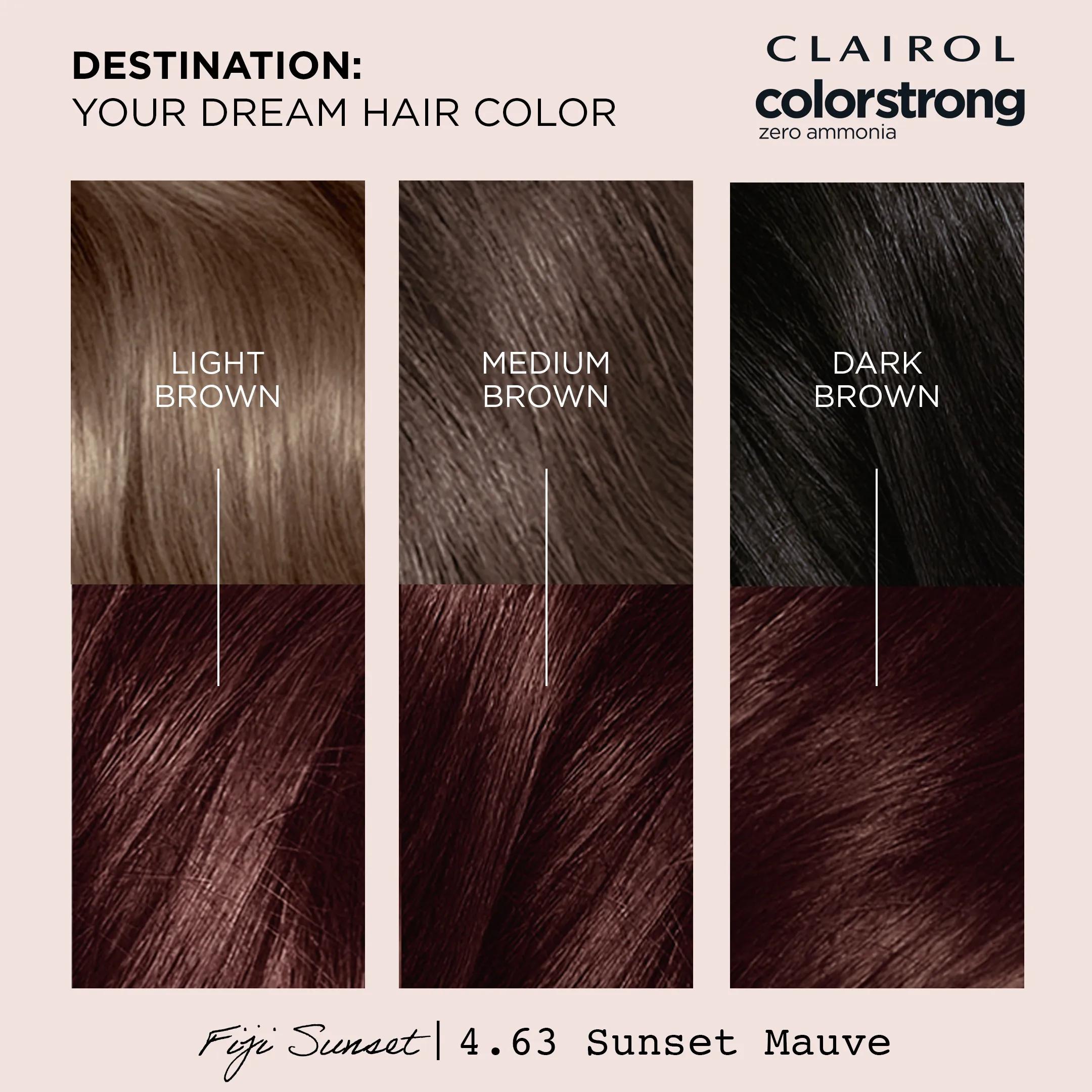 Clairol ColorStrong Permanent Zero Ammonia Hair Dye, 4.63 Sunset