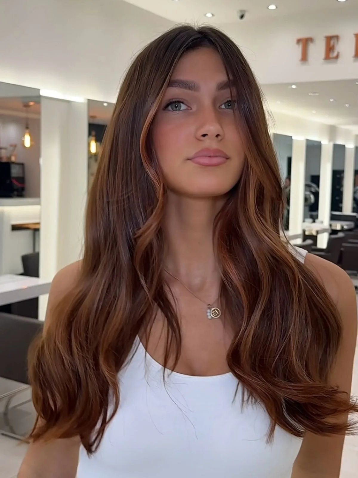 Model with silky brown hair featuring auburn highlights.