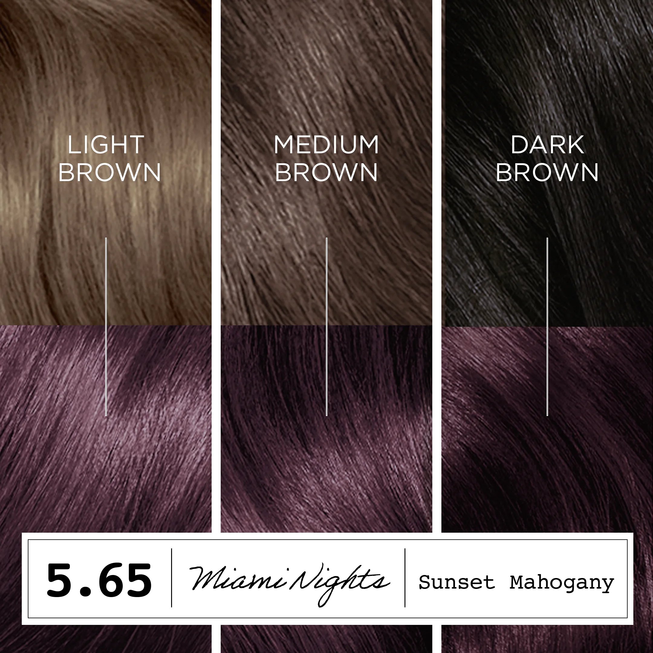 Destination: Your Dream Hair Color