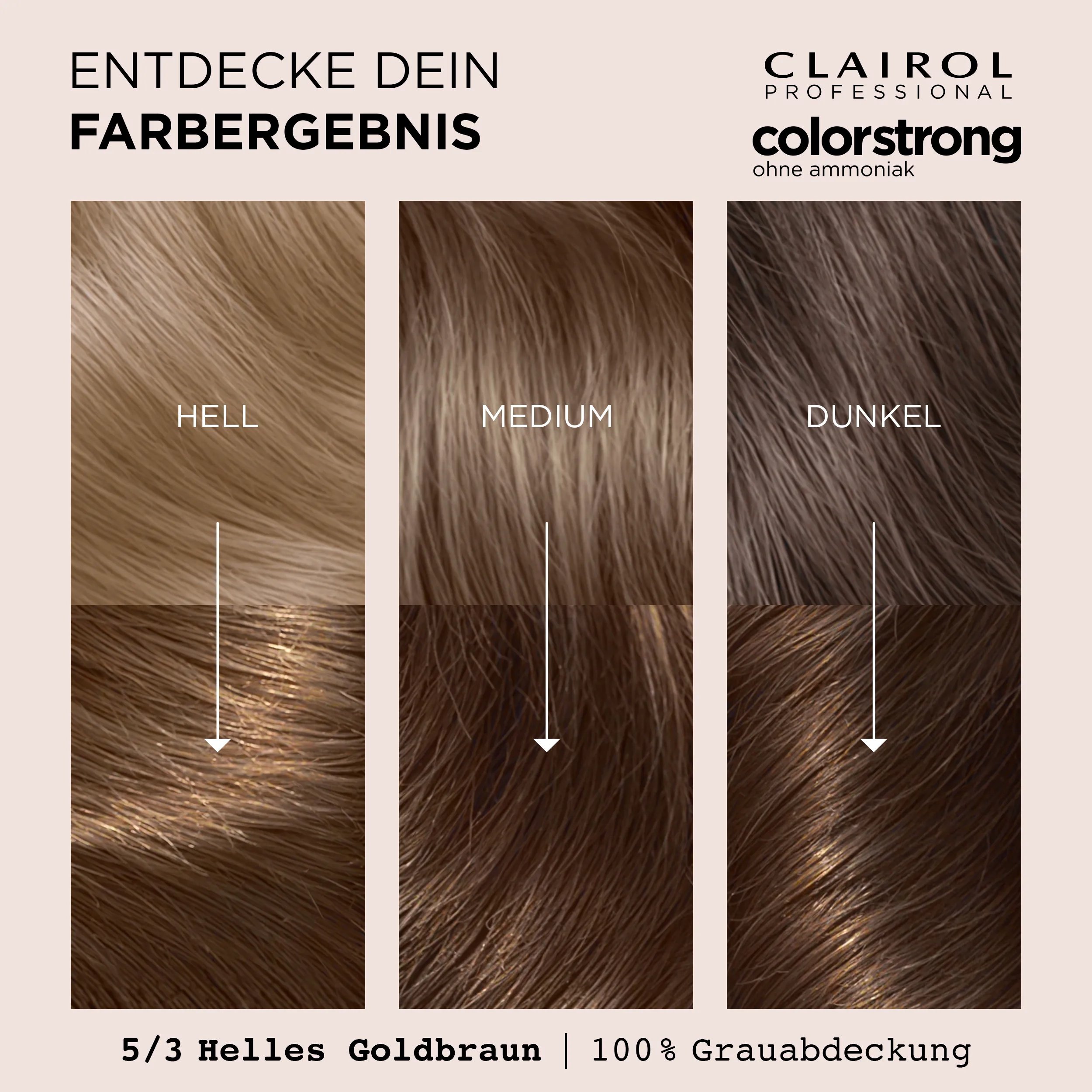 Entdecke dein Farbergebnis