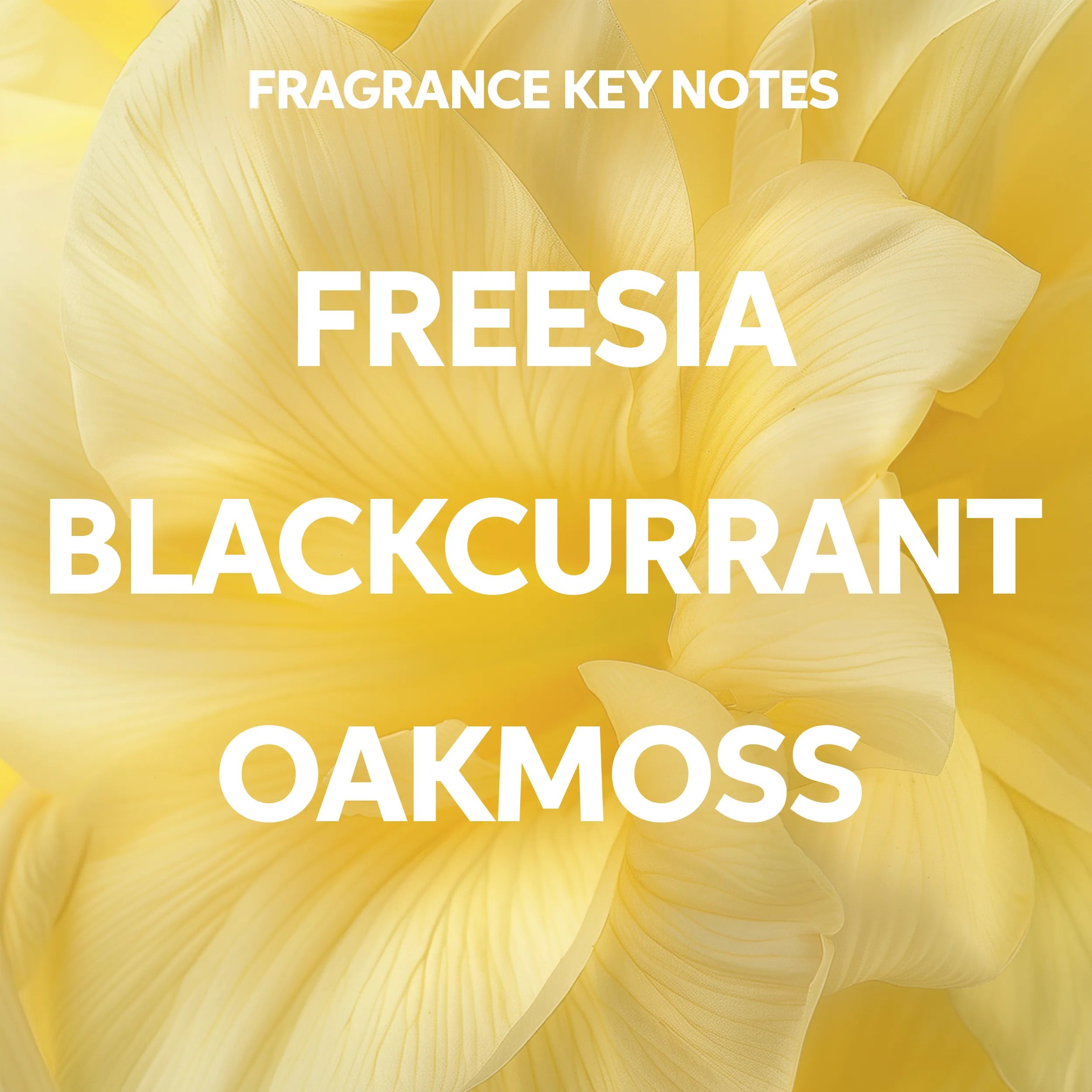Image displaying fragrance key notes - Freesia, Blackcurrant, Oakmoss against a yellow flower background.