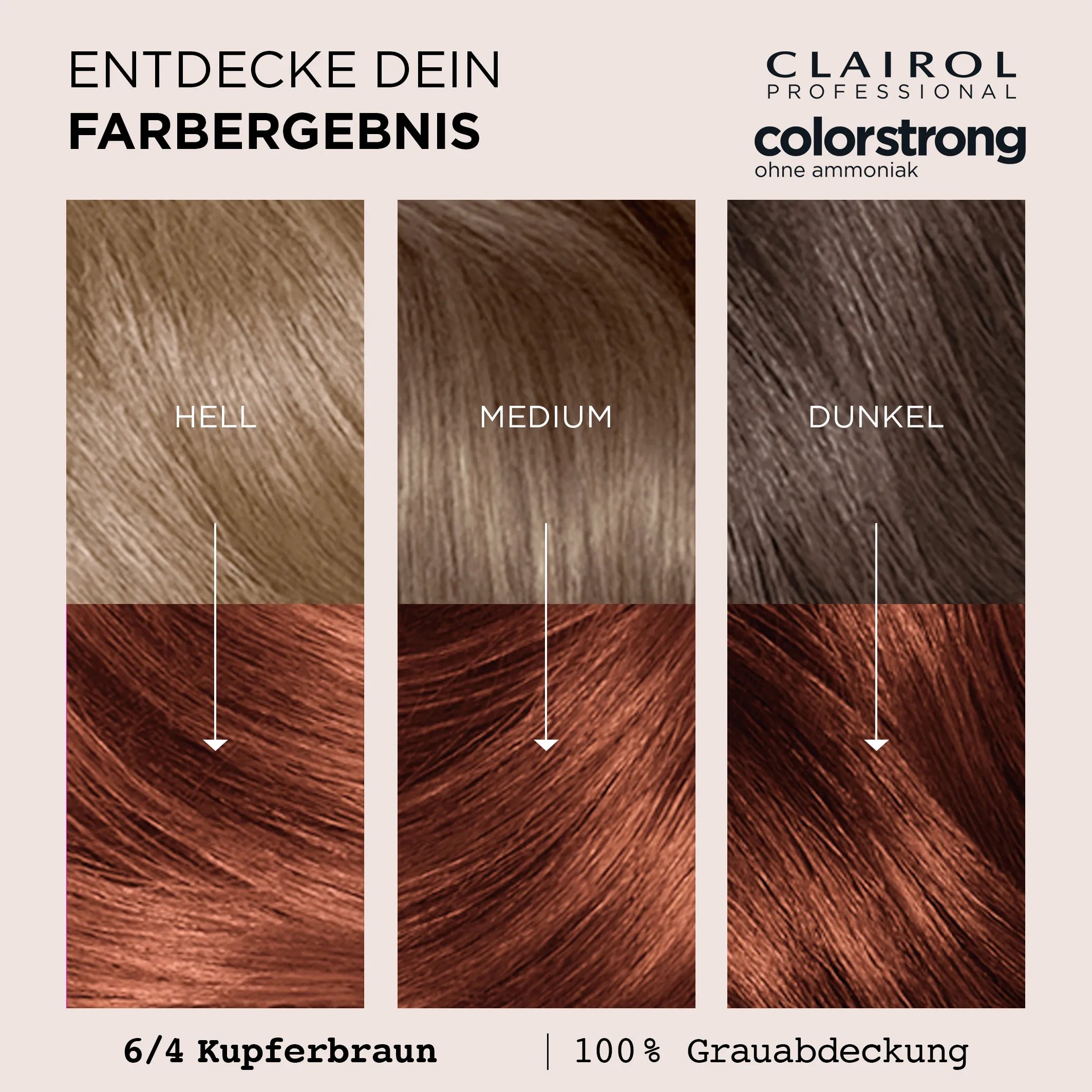 Entdecke dein Farbergebnis