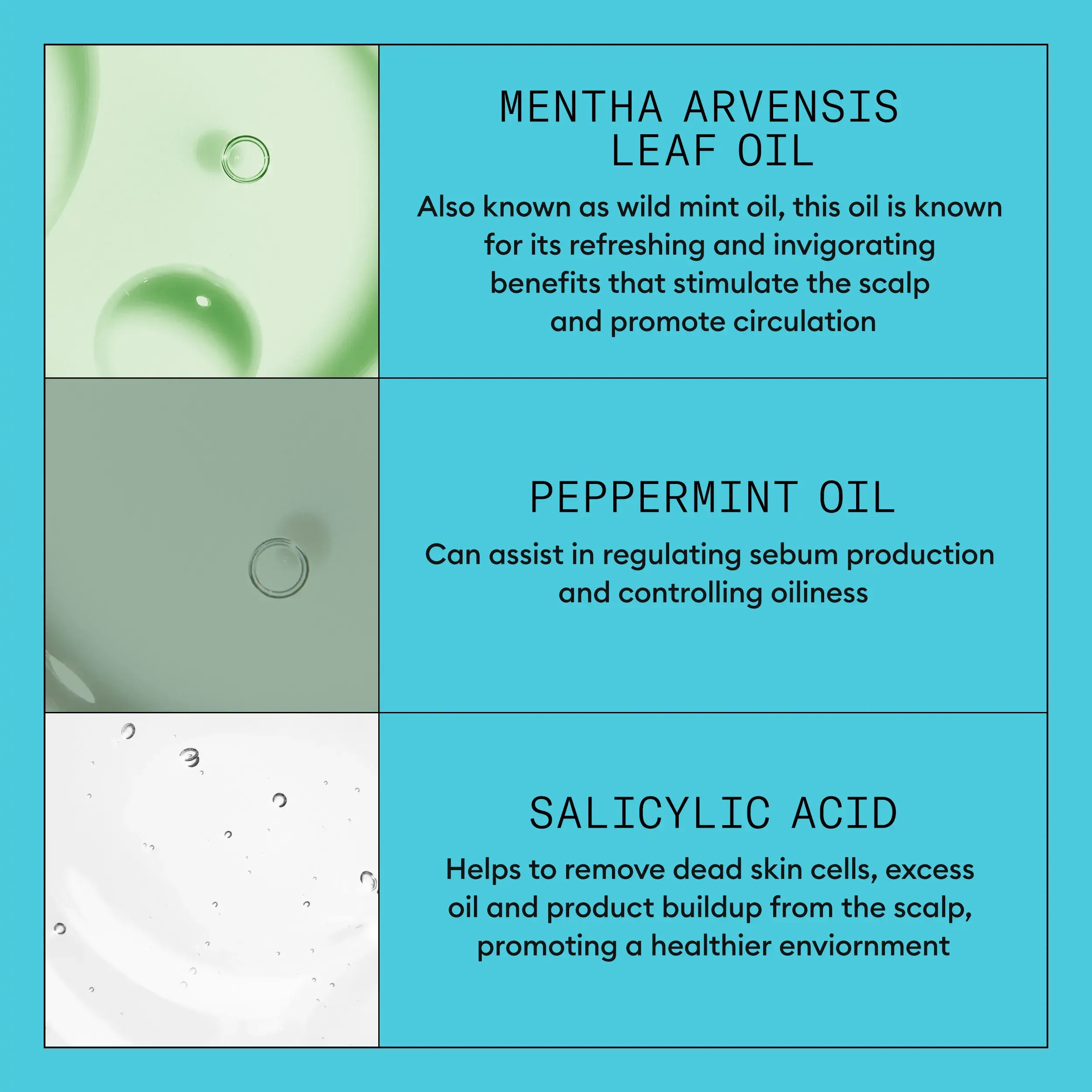 Nioxin System 3 Kit Shampoo ingredient infograph