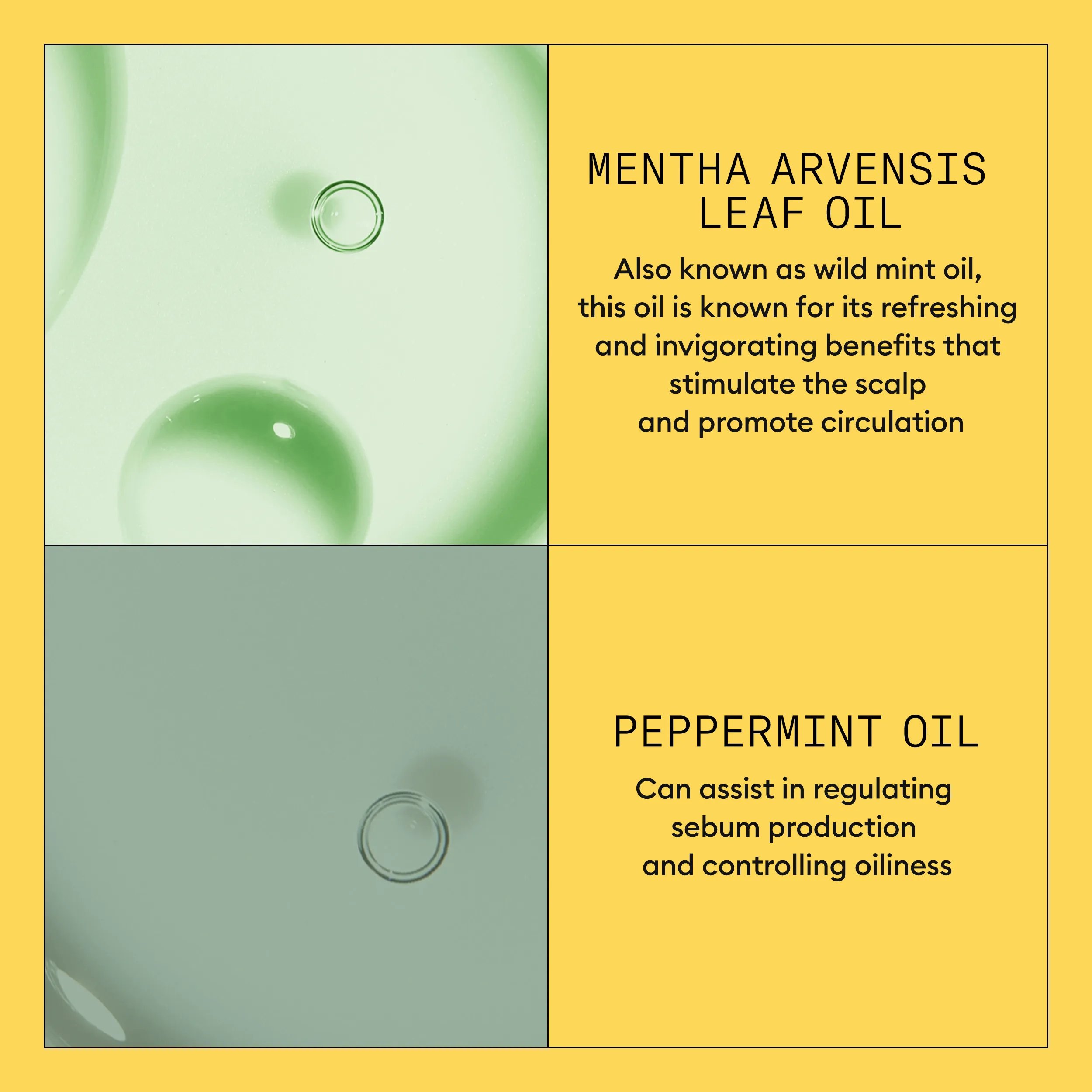 nioxin system kit 1 conditioner ingredients, wild mint oil and peppermint oil