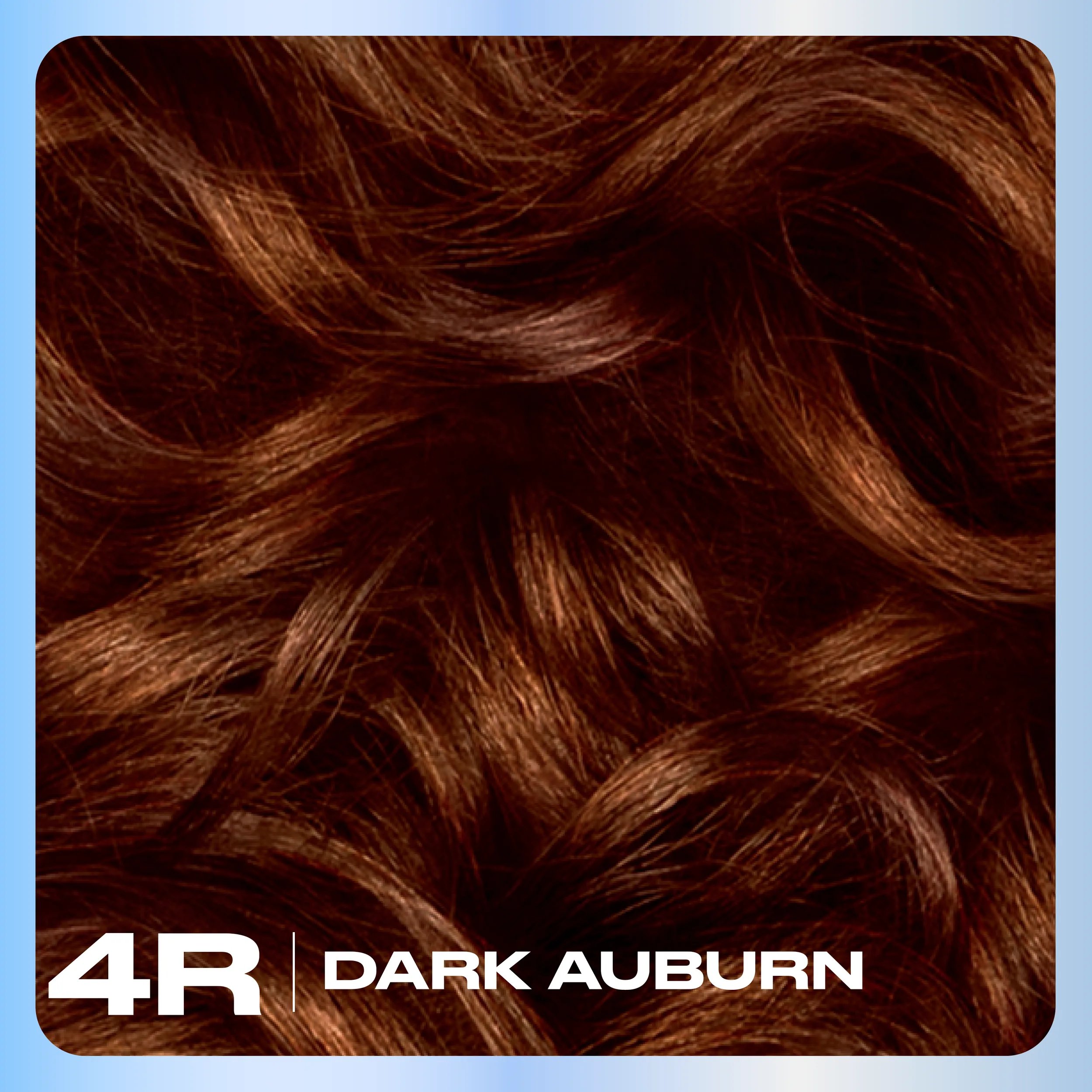 Clairol_Nice_N_Easy_Hair_Color_Base_Content_4R Dark Auburn