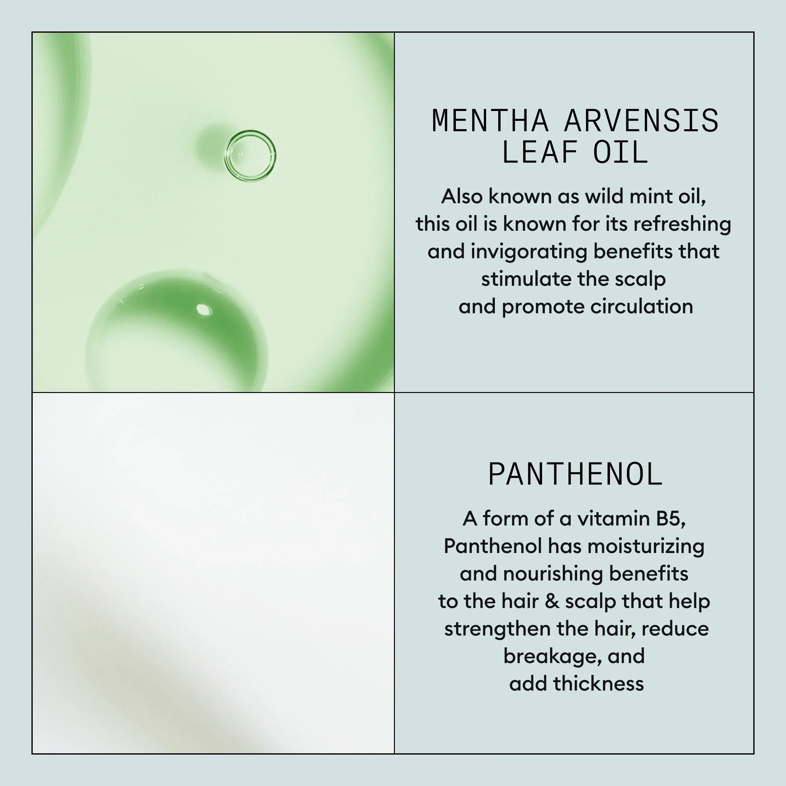 Infografía de los ingredientes del Sérum de Nioxin Restage