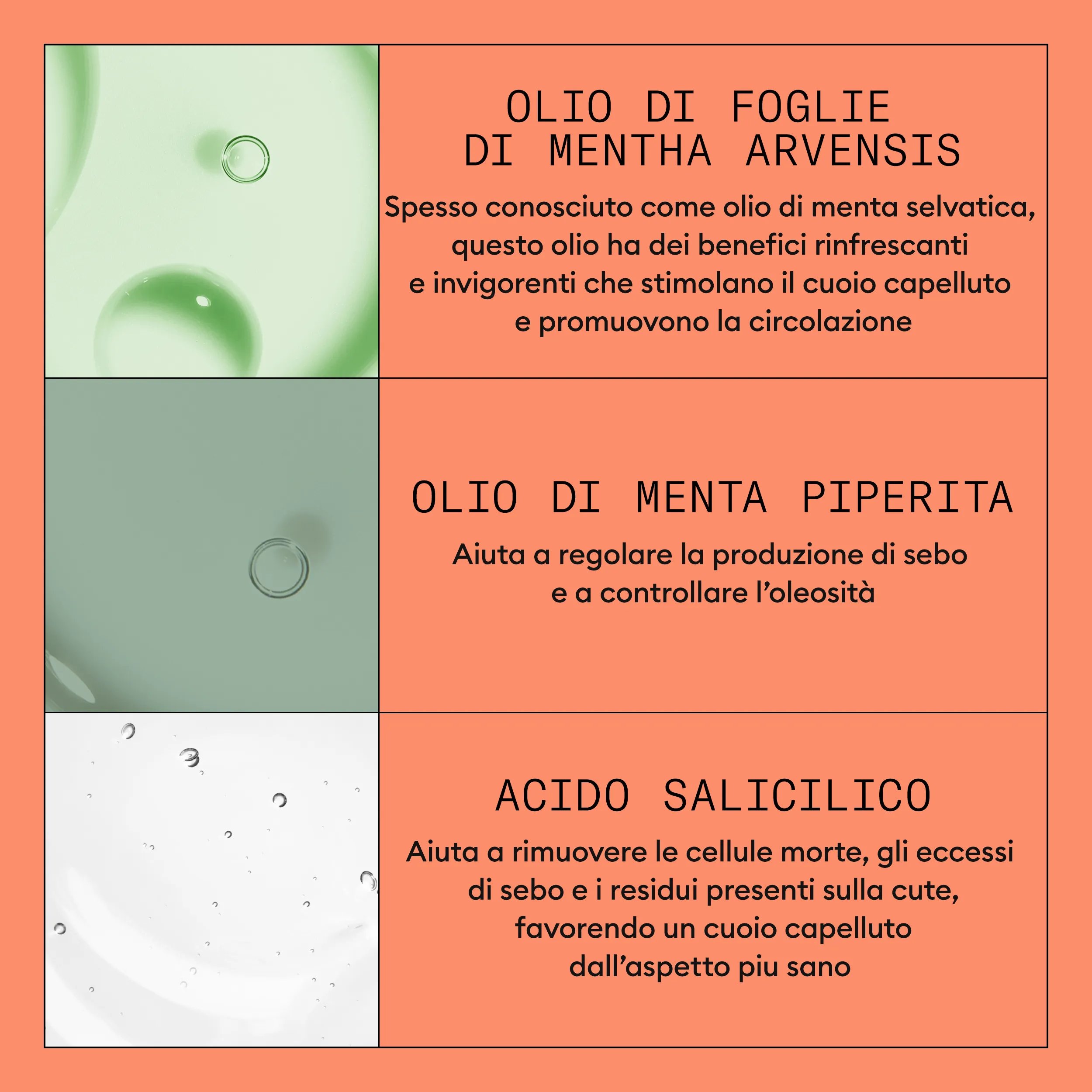 Nioxin_Sistema 4 Shampoo 1000ml_Italy-54_2_E