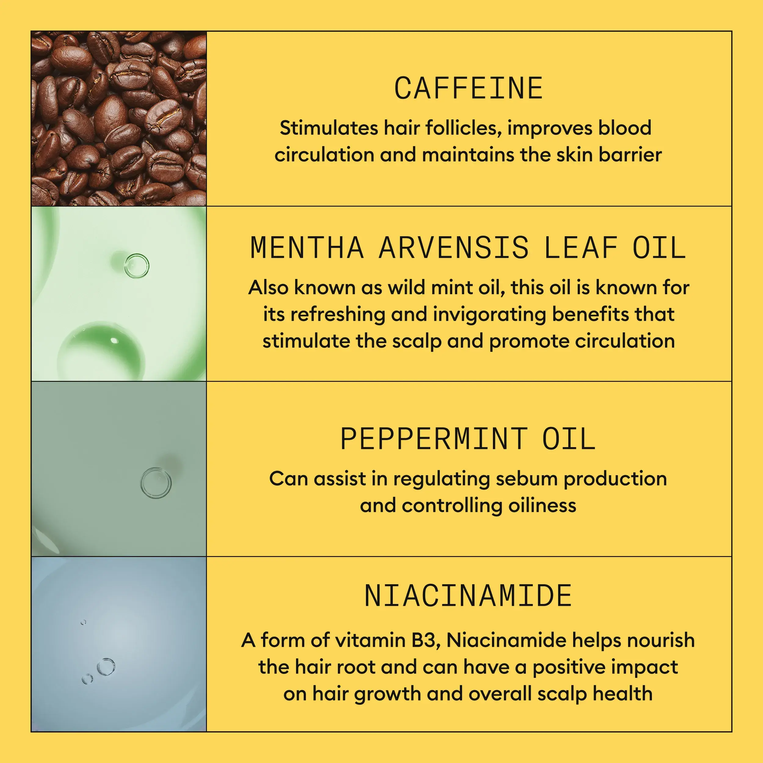 Nioxin System 1 kit ingredients infograph