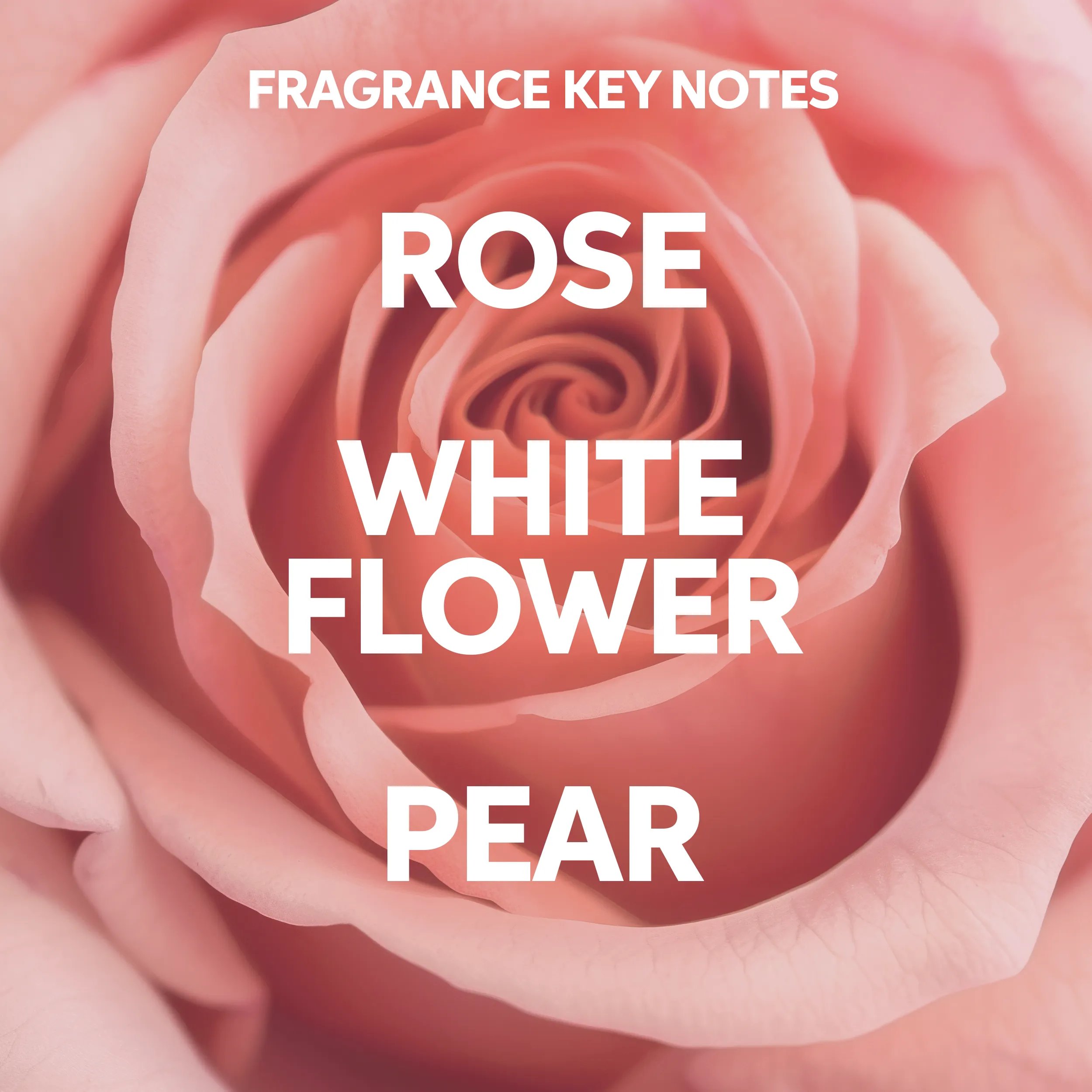 Text saying 'fragrance key notes: rose, white flower and pear' on a background photograph of a pink rose.