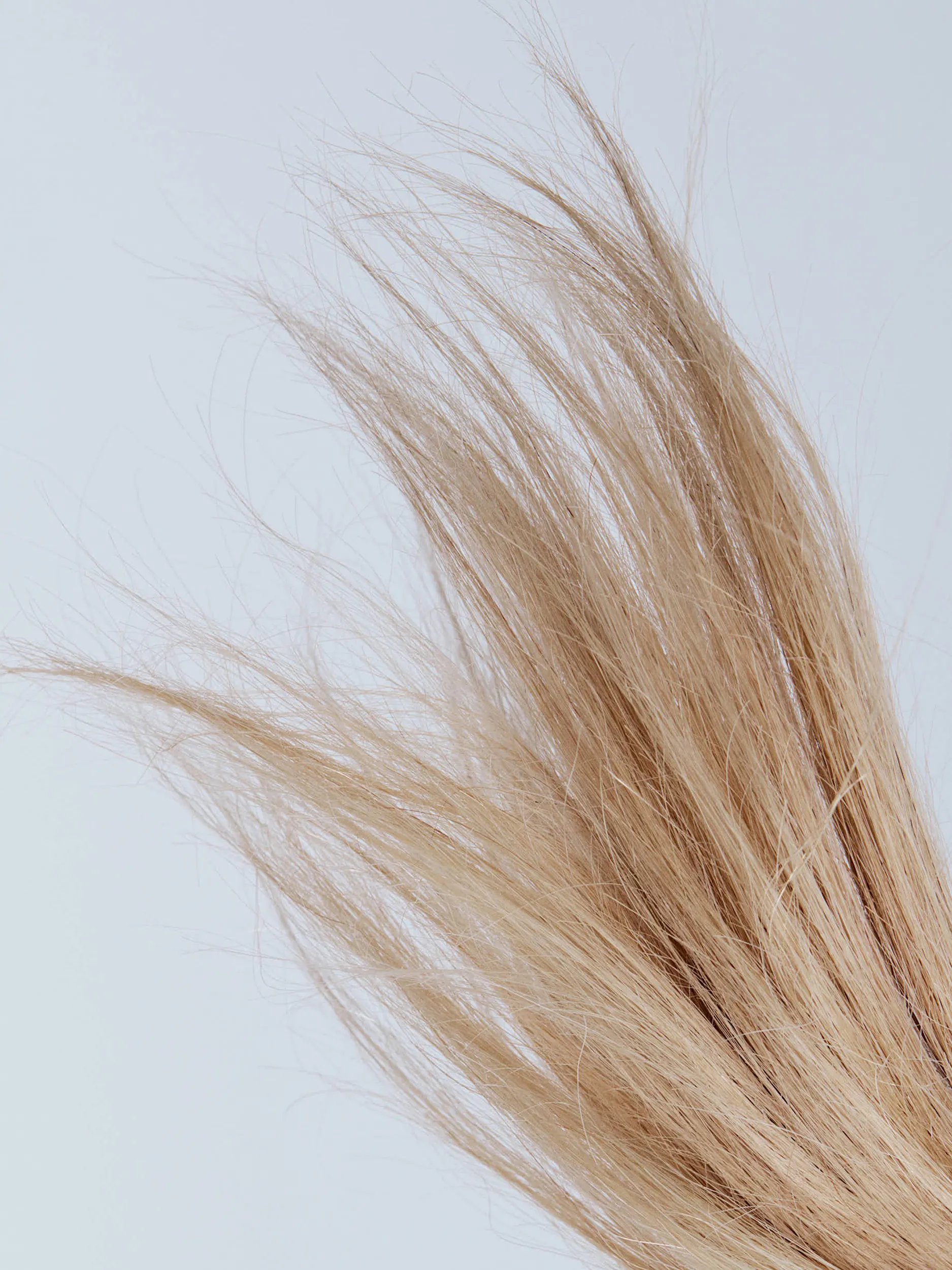 Close-up of light blonde, wispy hair against a light background.