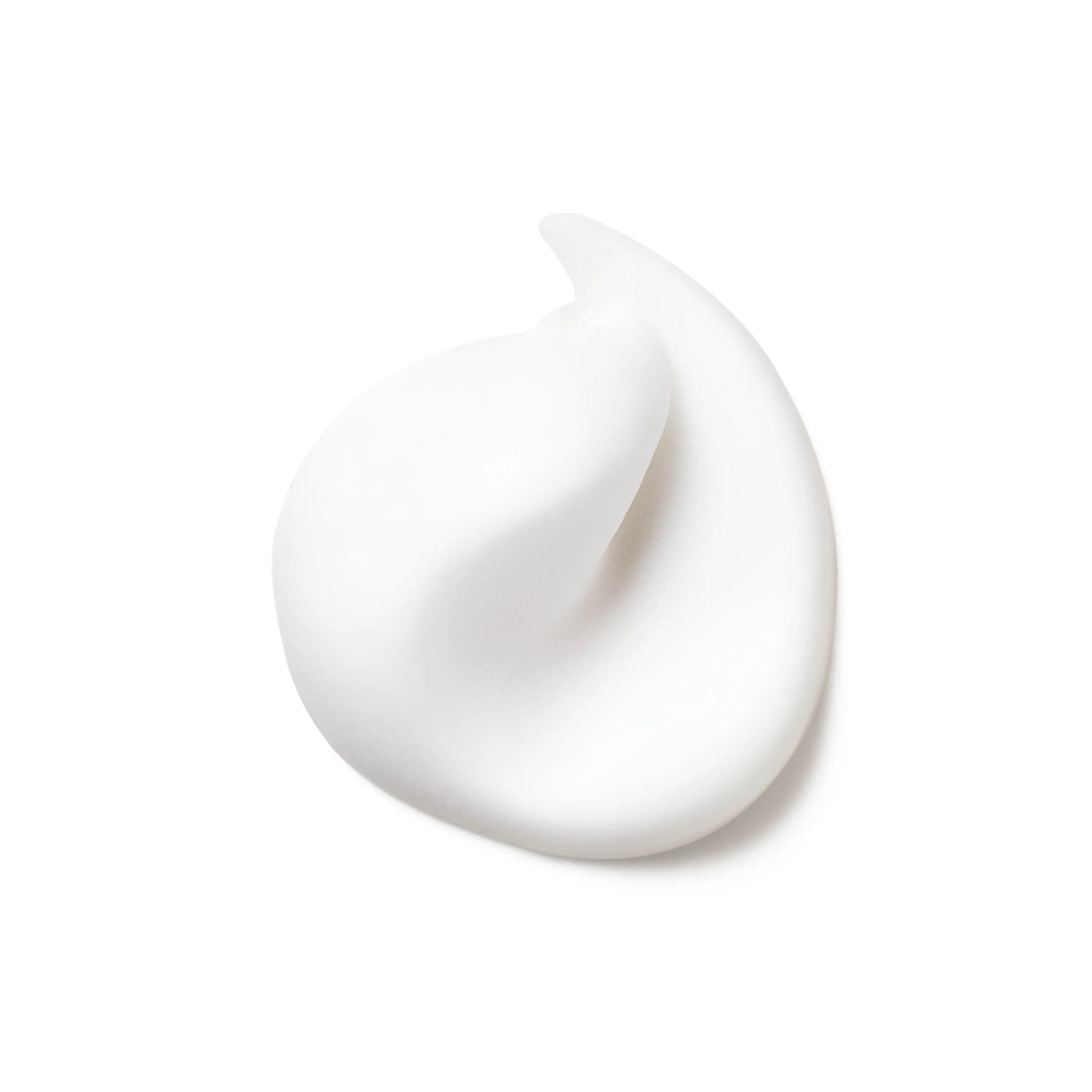 Photographie du texture mousse