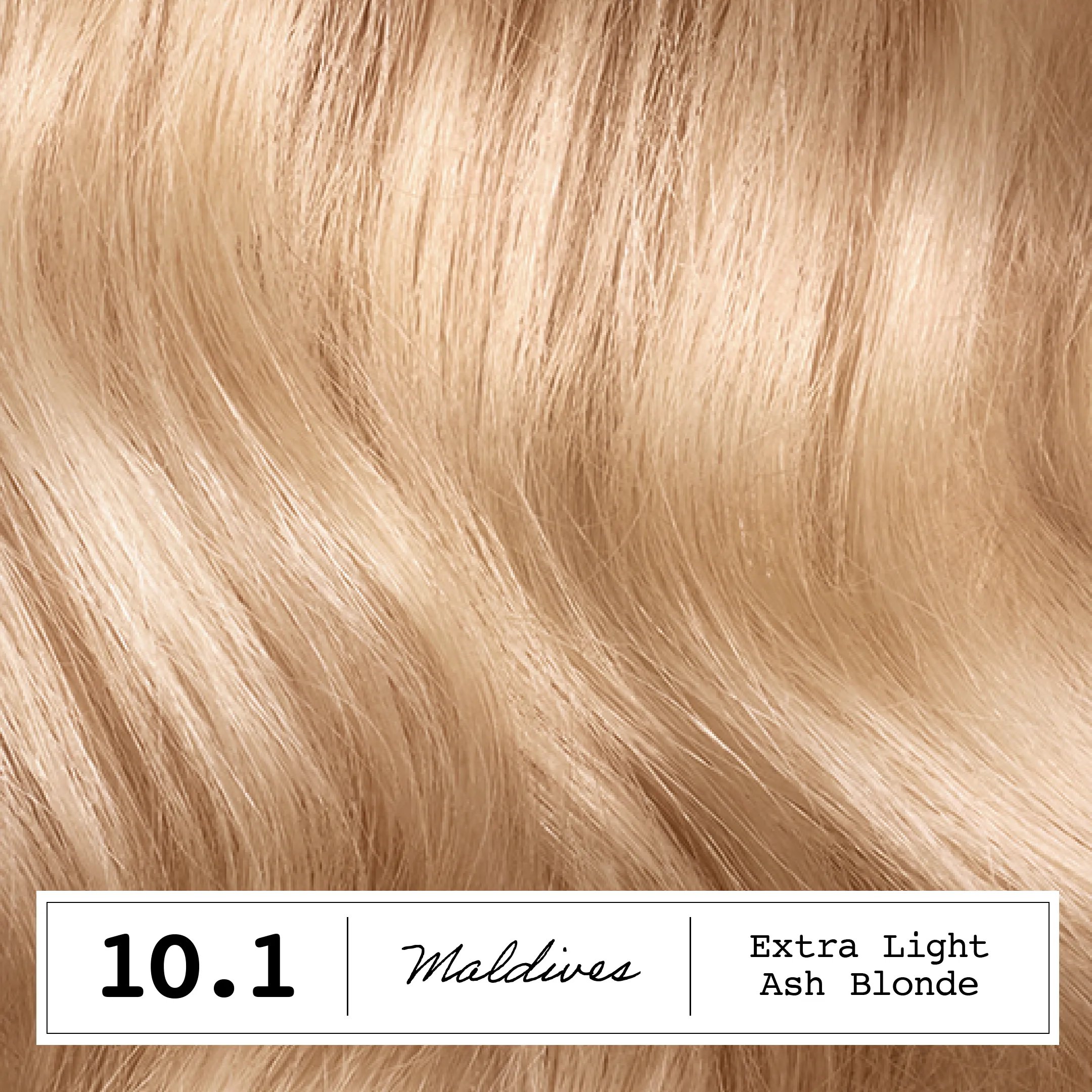 ColorStrong 10.1 Swatch