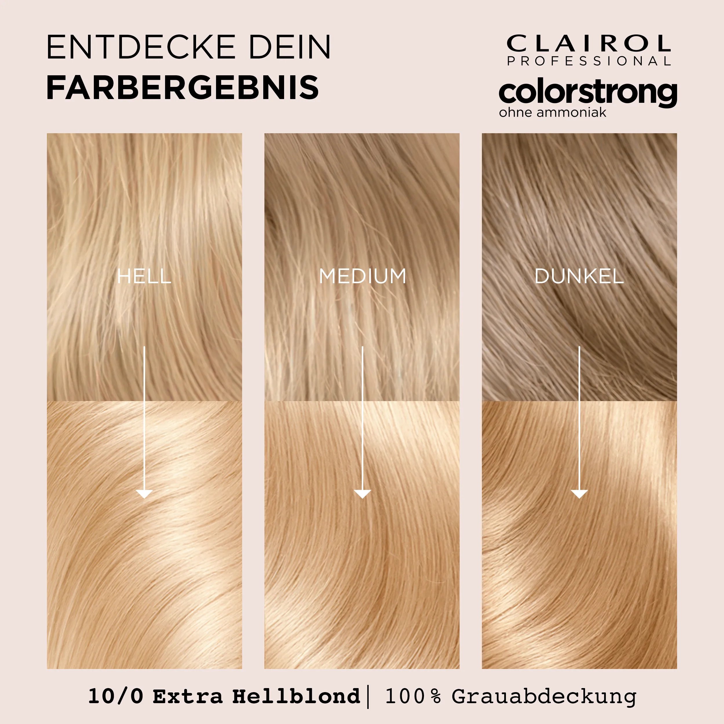 Entdecke dein Farbergebnis