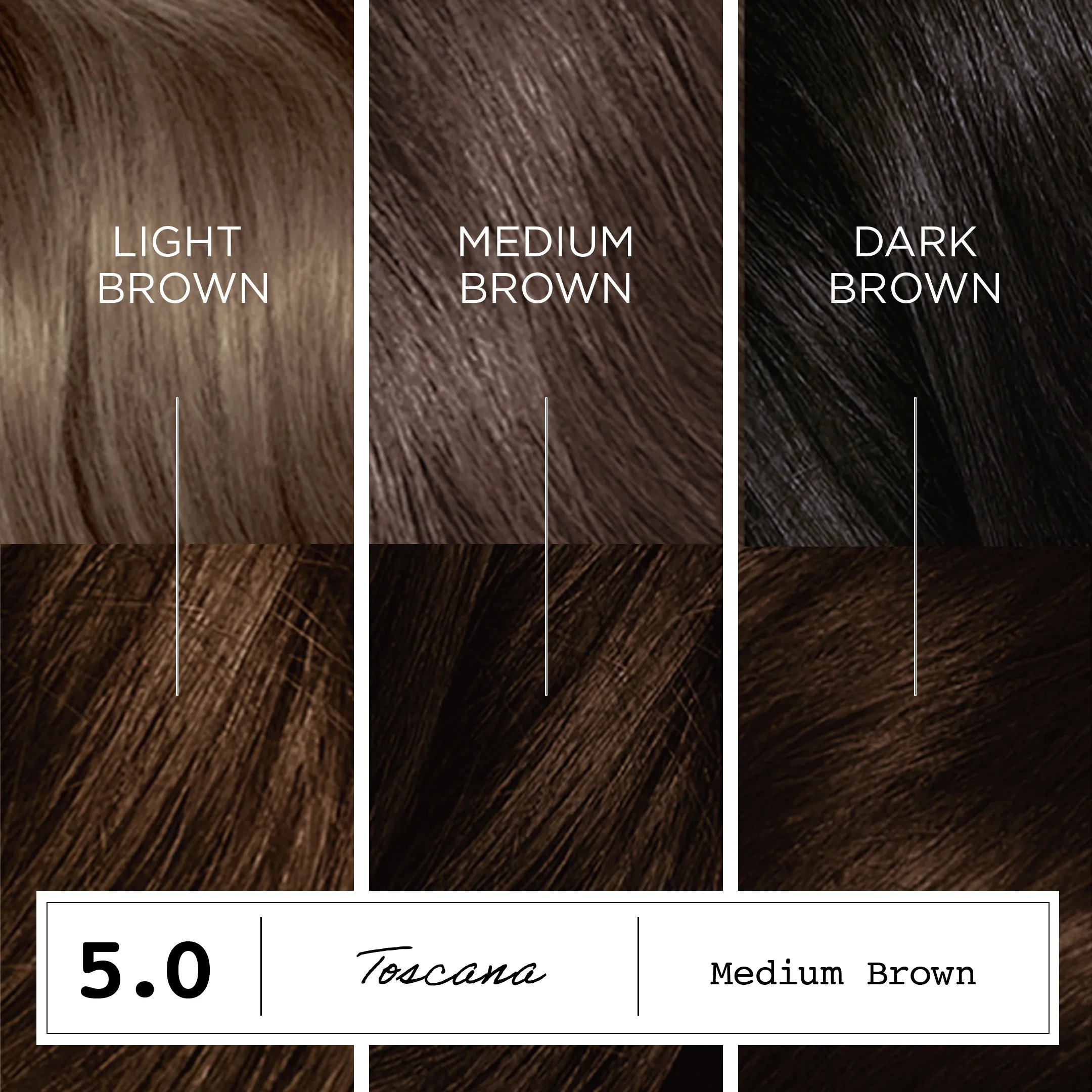 Destination: Your Dream Hair Color