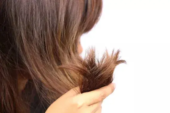 close up on brunette hair women holding ends of her hair