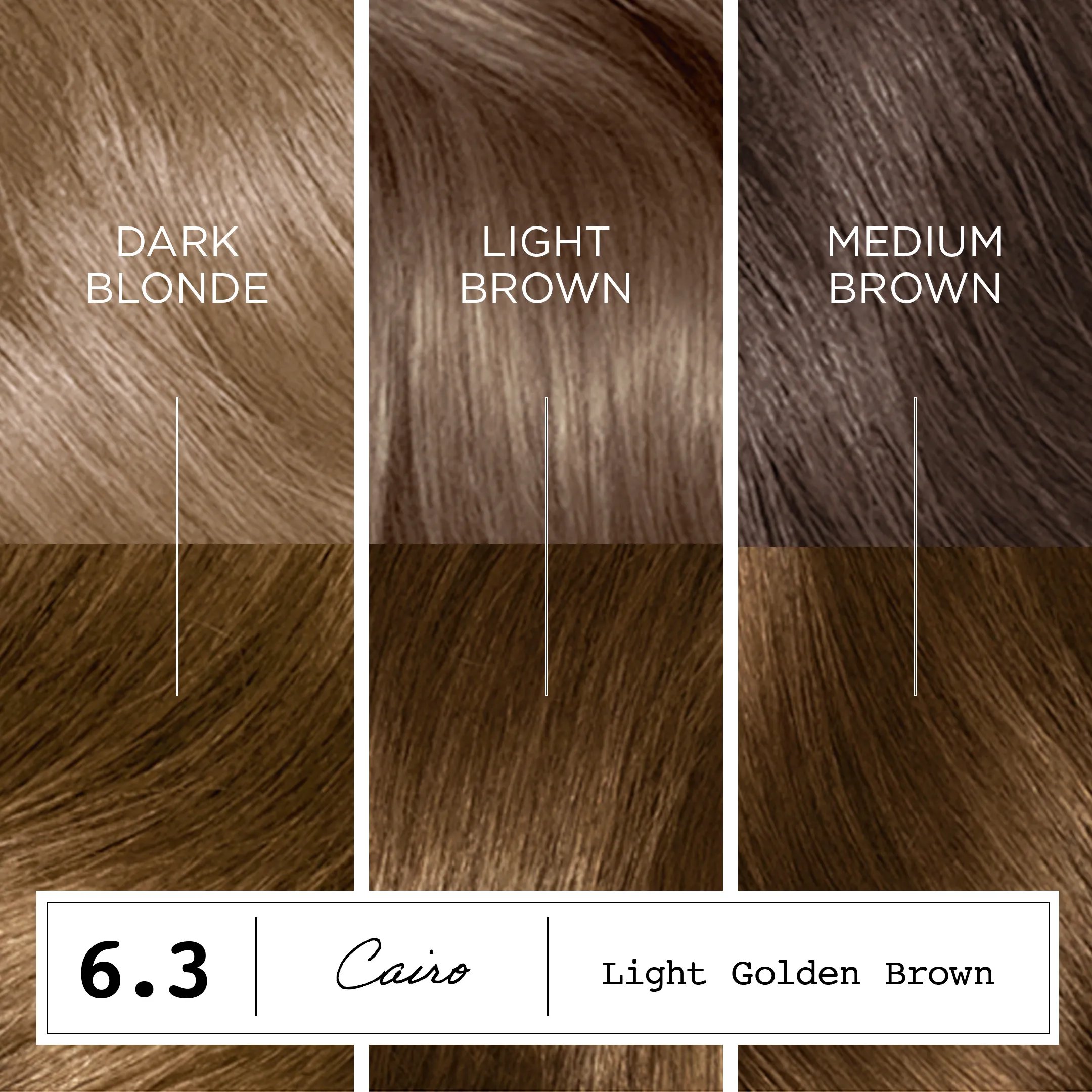 Destination: Your Dream Hair Color