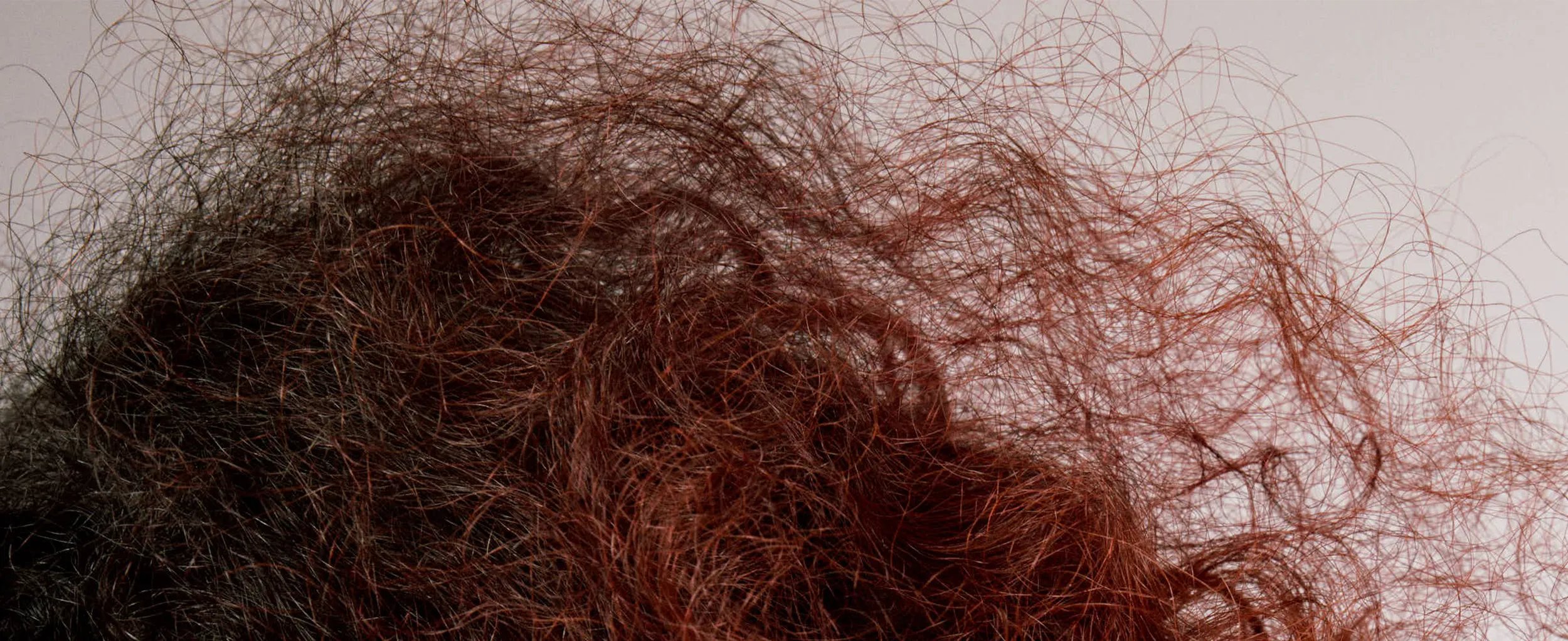 Close up of red, curly hair with frizz.