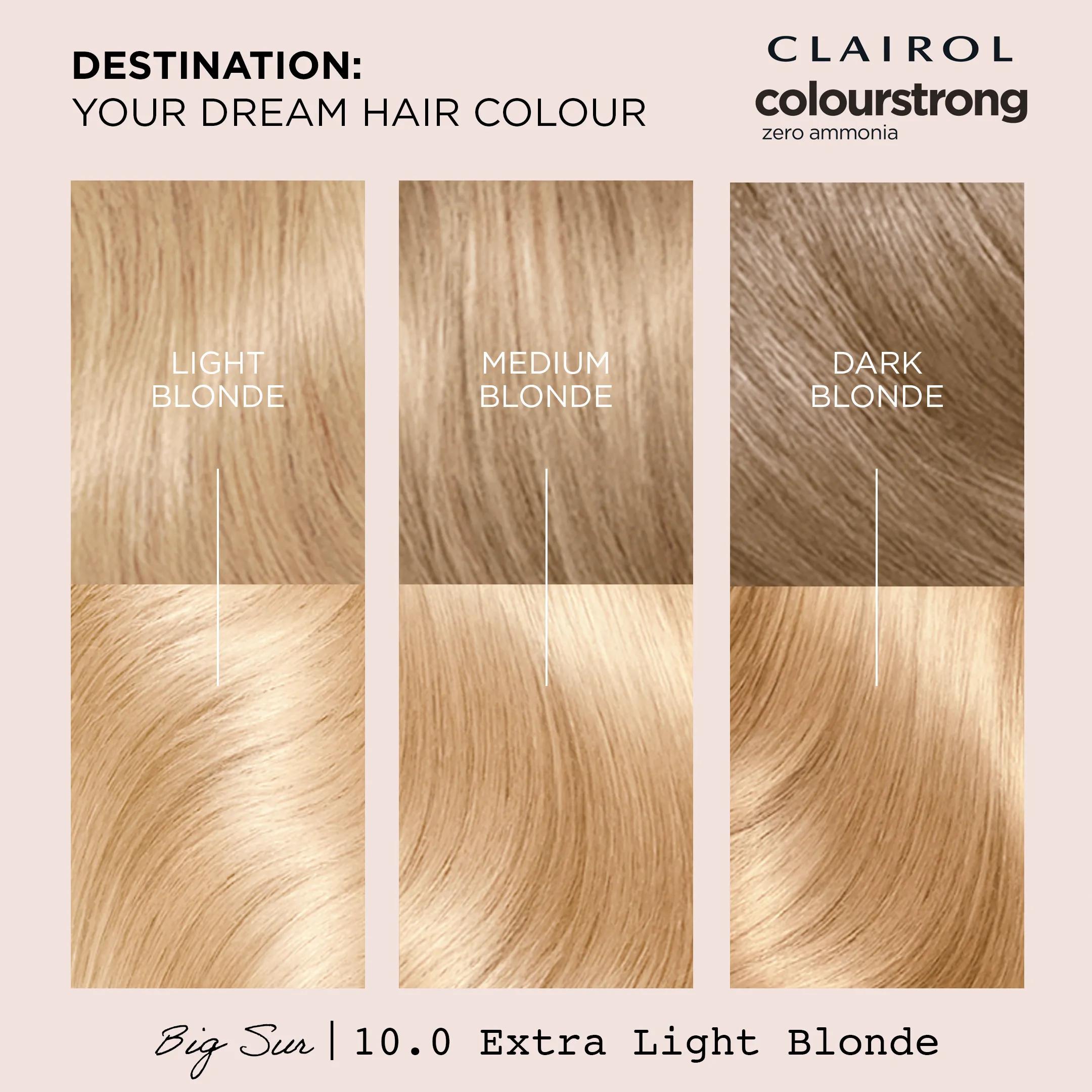 Headpaint 10.0 Extra Light Blonde – Professionelle Haarfarbe, Bis Zu 100% Grauabdeckung, Mit Natürlichen Inhaltsstoffen
