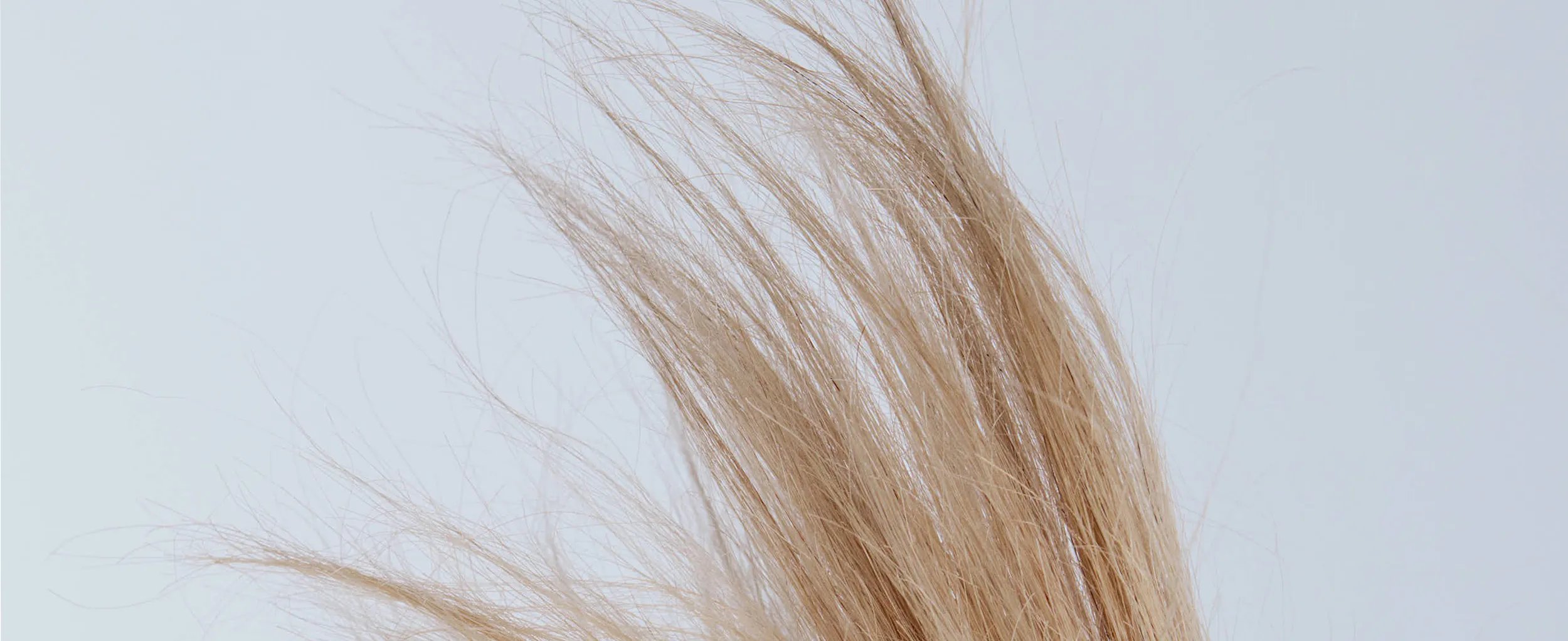 Damaged ends blonde hair