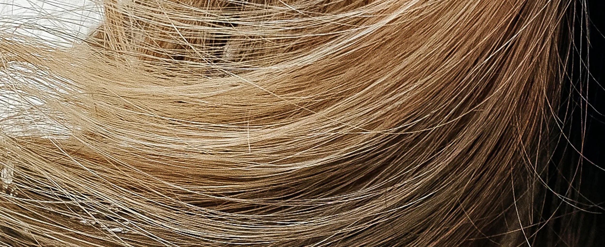 Close-up of blonde and brown hair strands, highlighting the natural variations in color and texture.