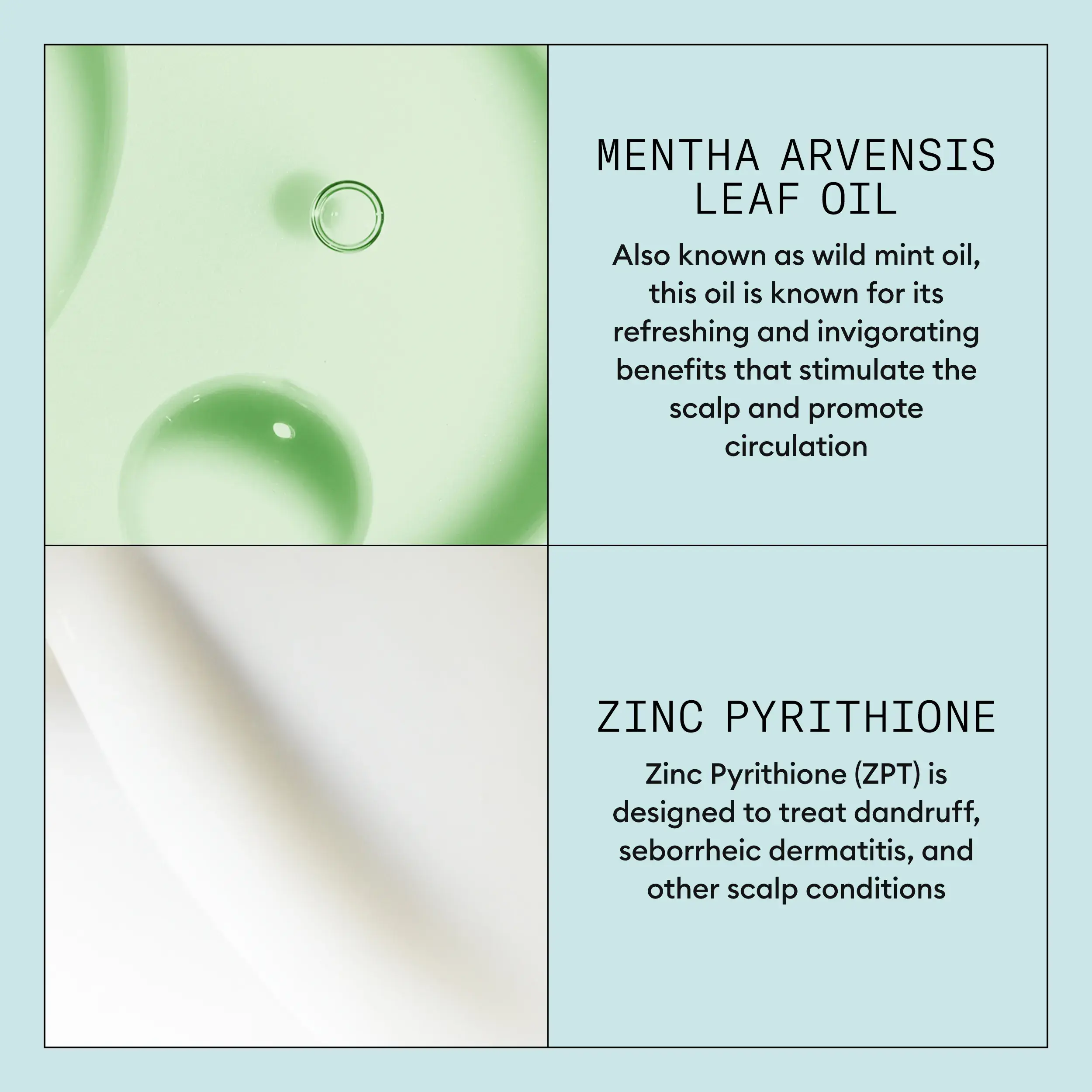 Nioxin Scalp Recovery System ingredients infograph