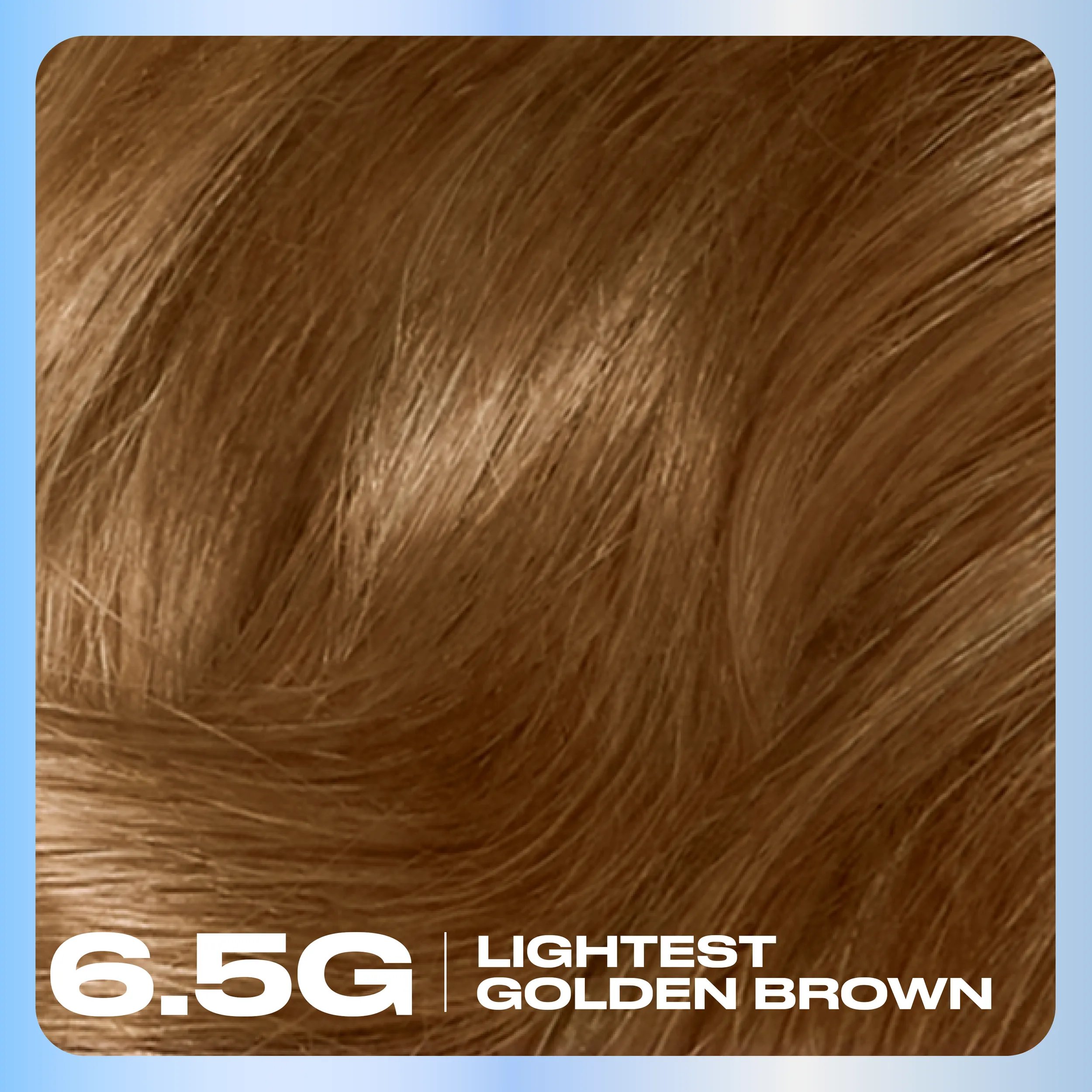 Clairol_Nice_N_Easy_Hair_Color_Base_Content_6.5G Lightest Golden Brown