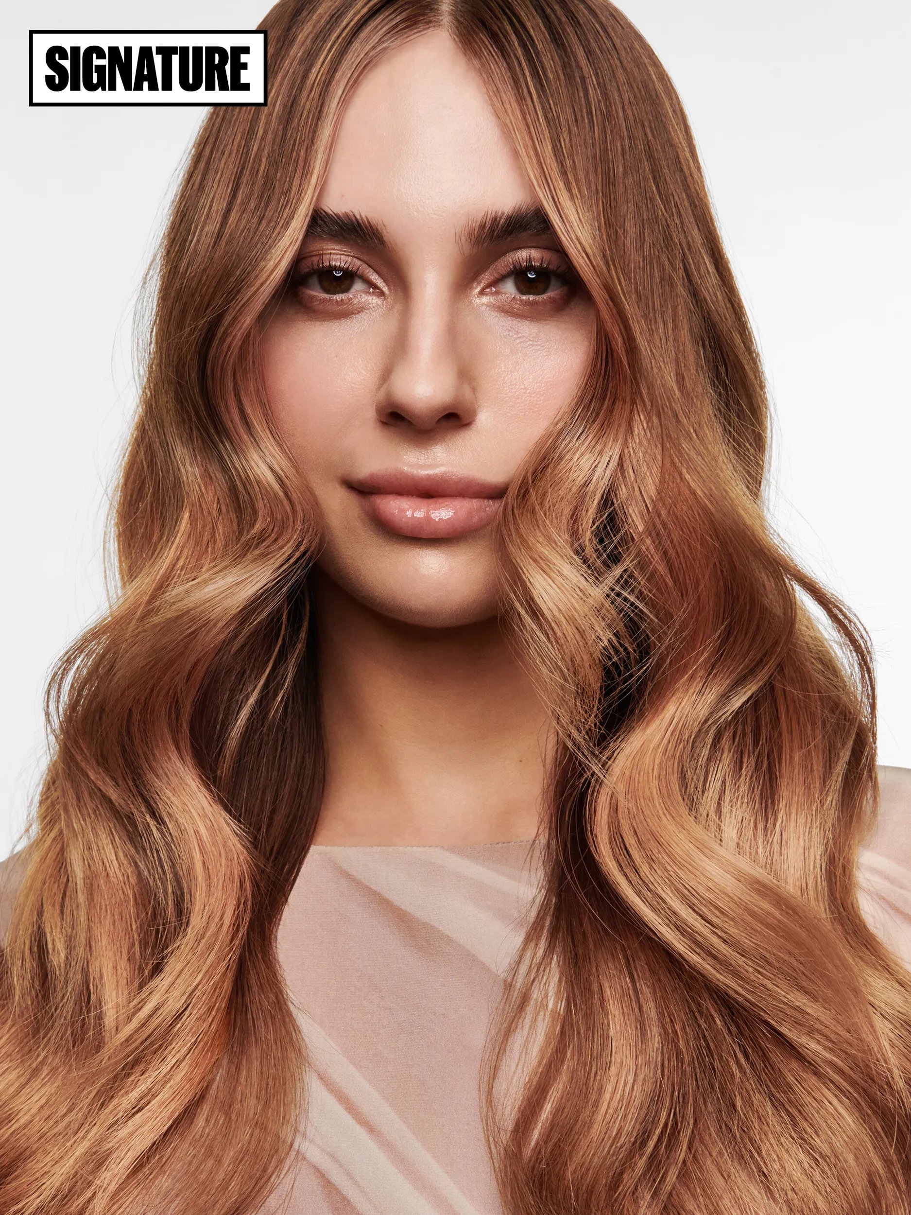 Close-up model with brown long hair
