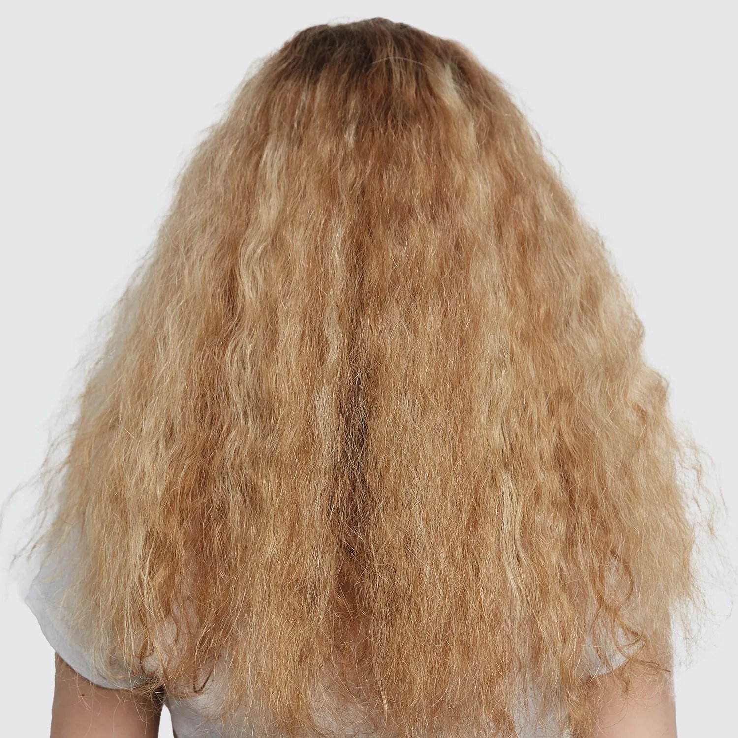 Image of a model with long, dry, frizzy-looking bleached hair.