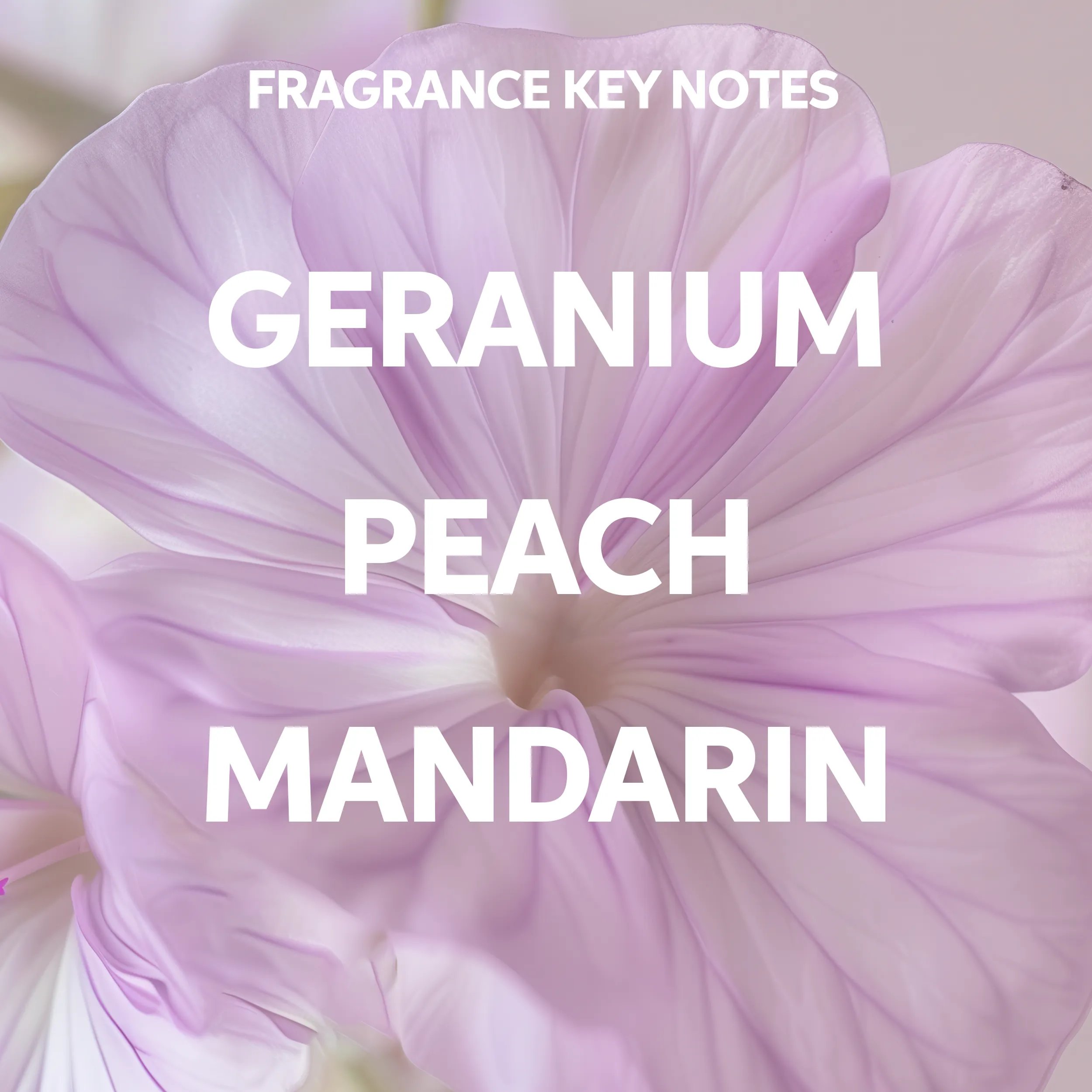 Text saying 'fragrance key notes: geranium, peach and mandarin' on a background photograph of some lilac flowers.