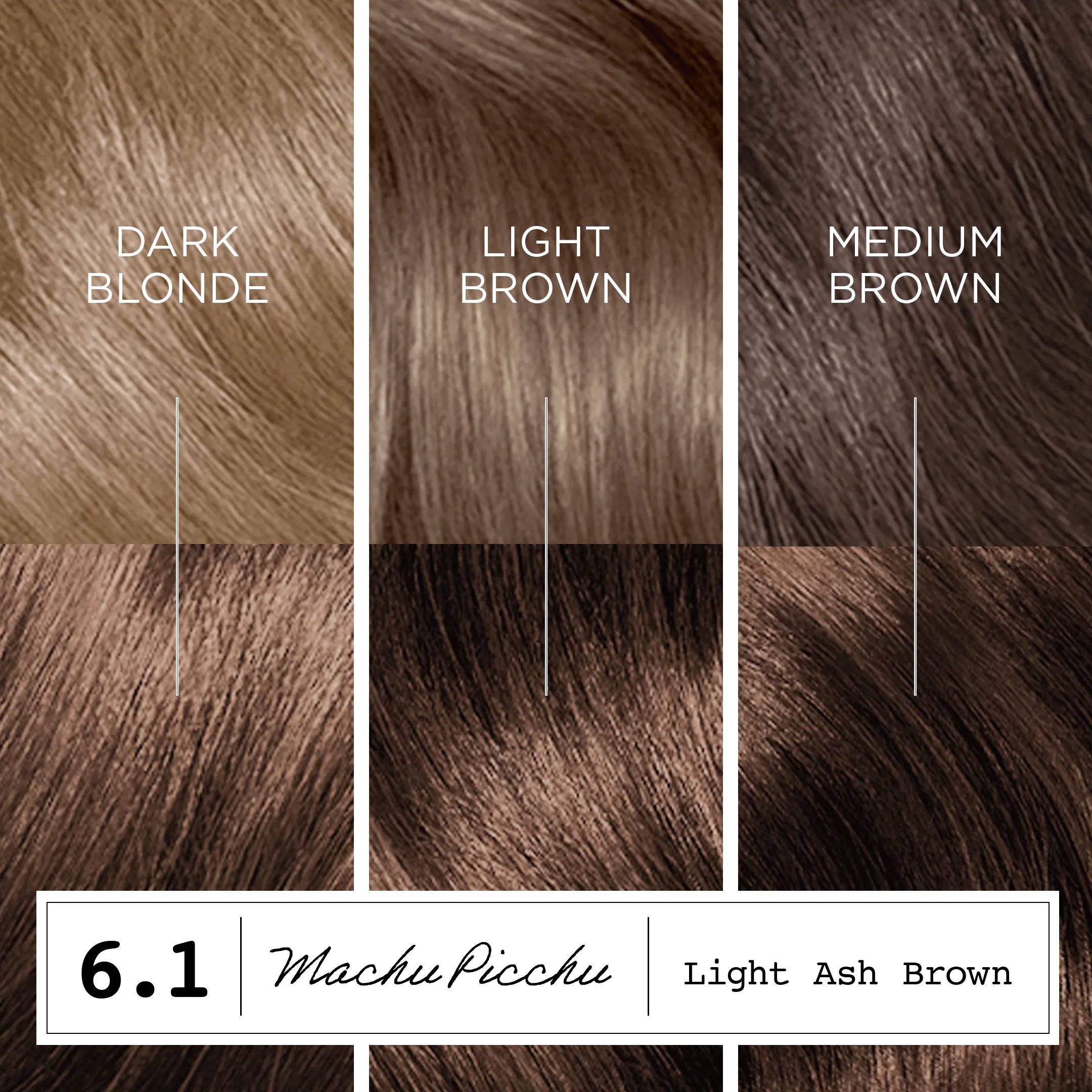 Destination: Your Dream Hair Color