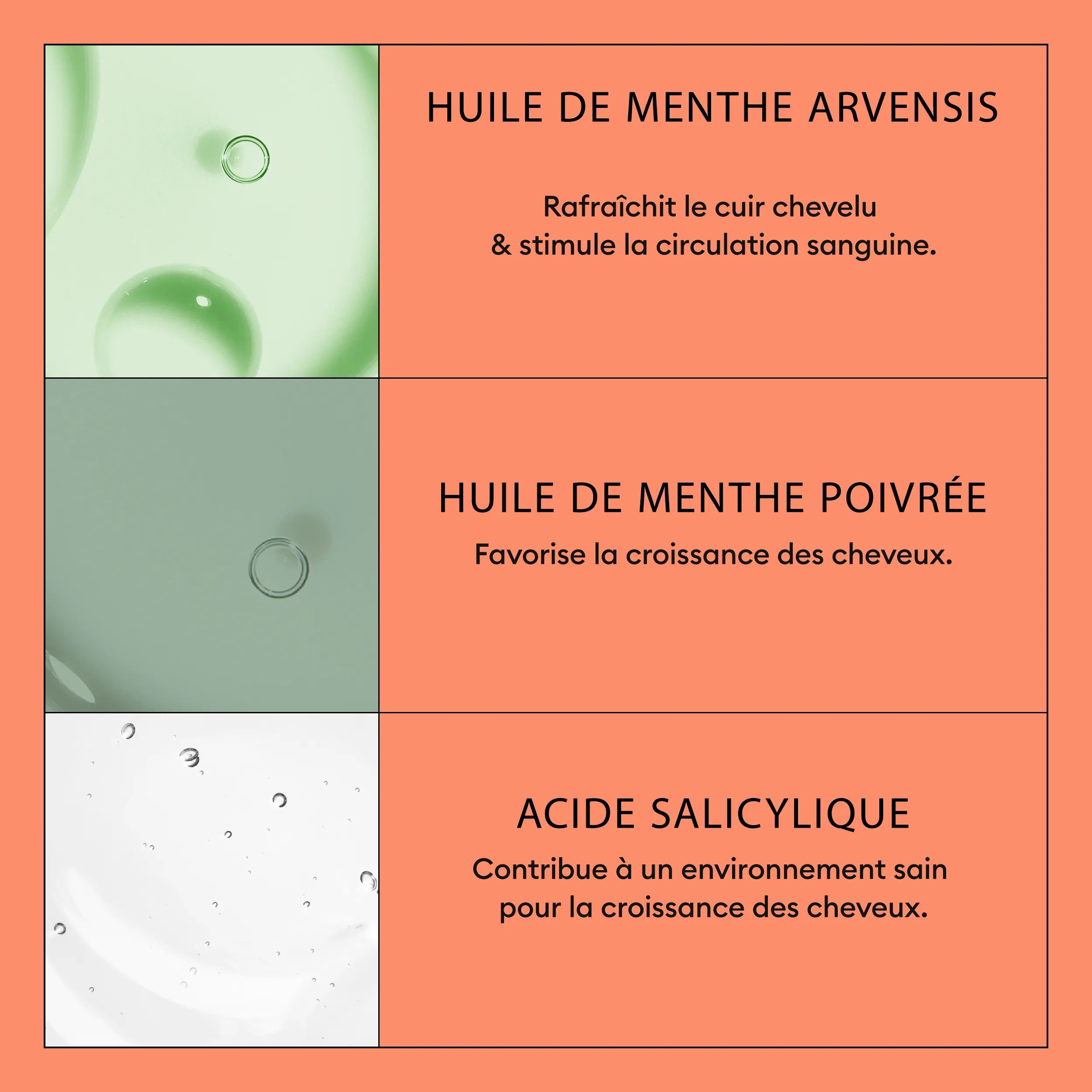 Nioxin System 4 Shampoo ingredients infograph