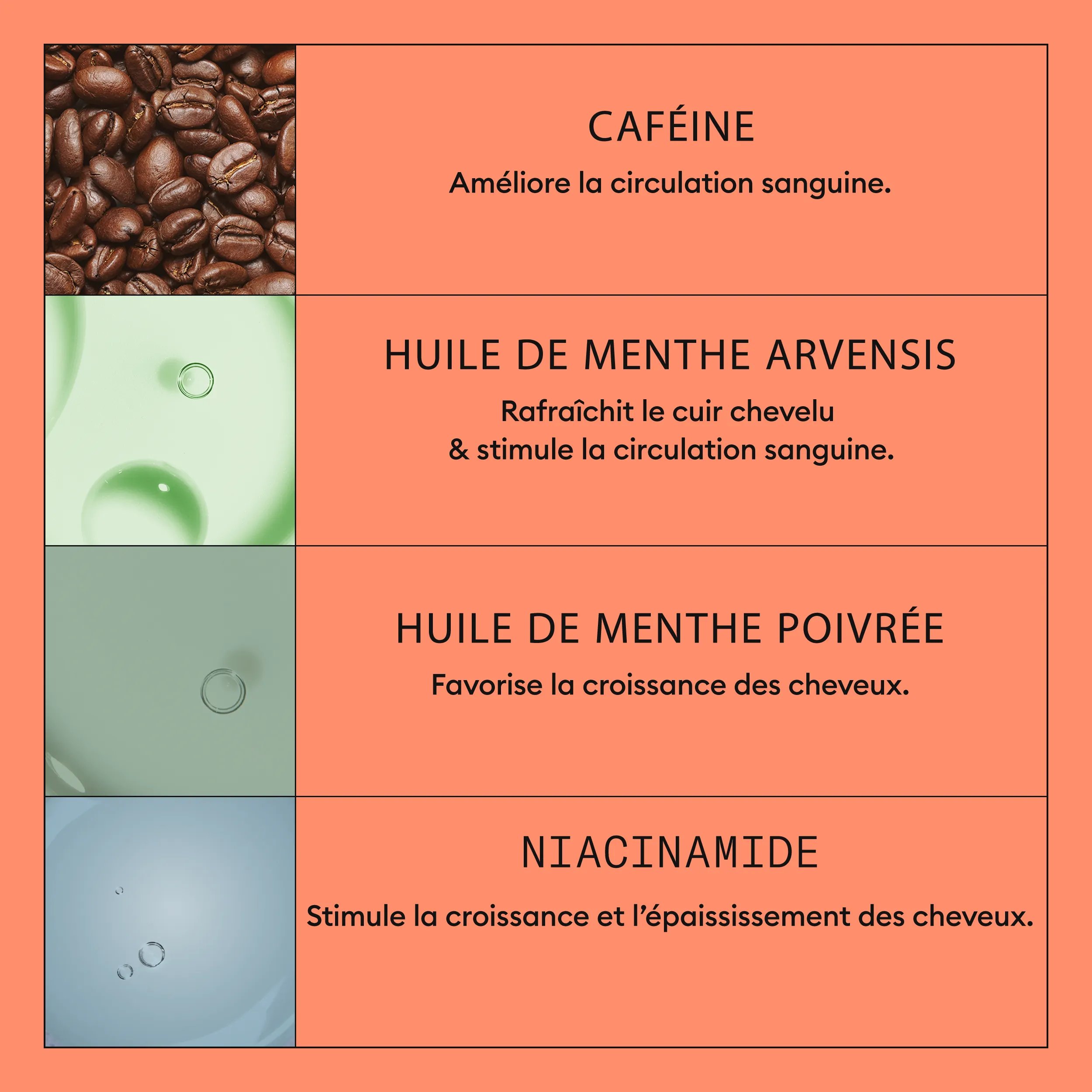 Nioxin_System_Kit4_France

