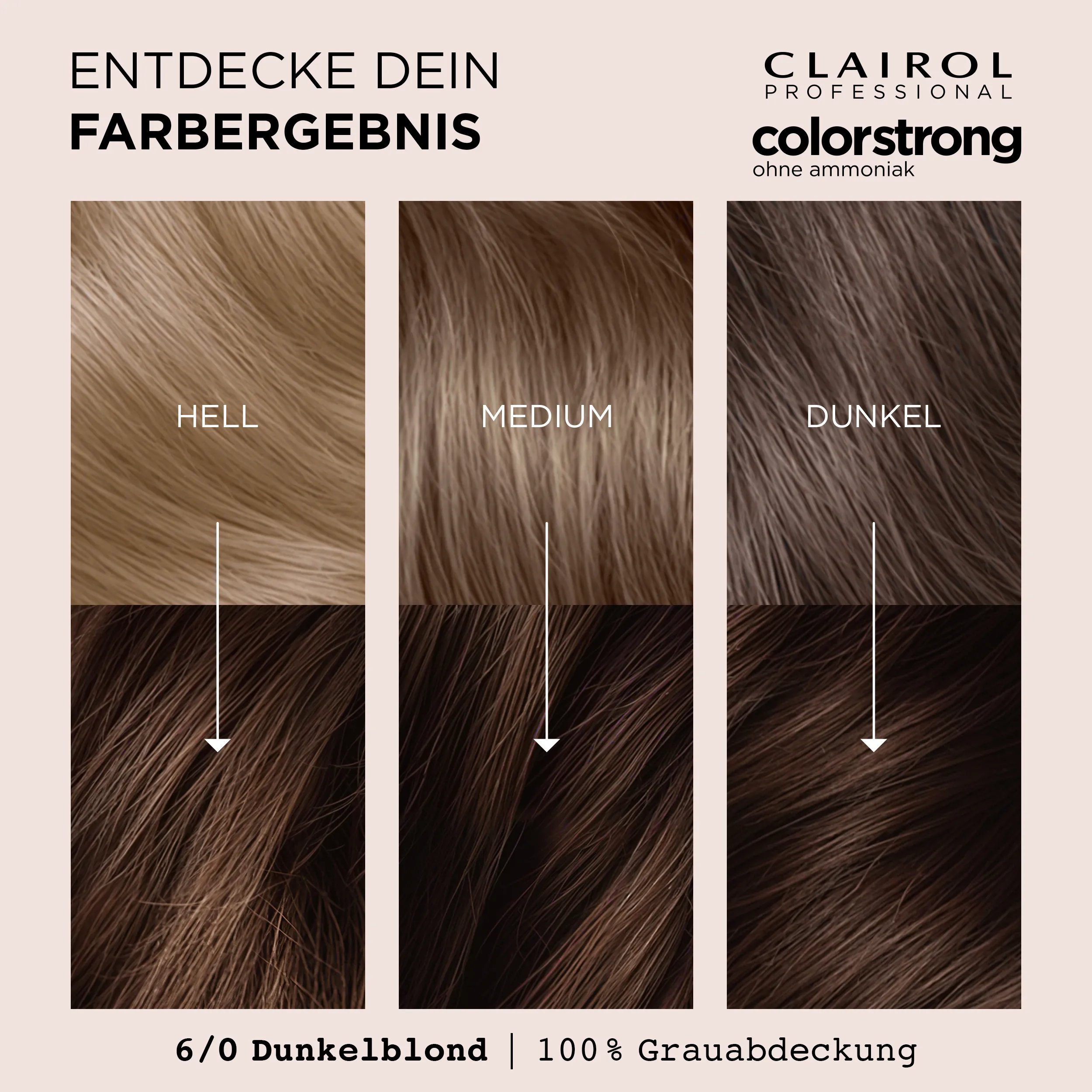 Entdecke dein Farbergebnis