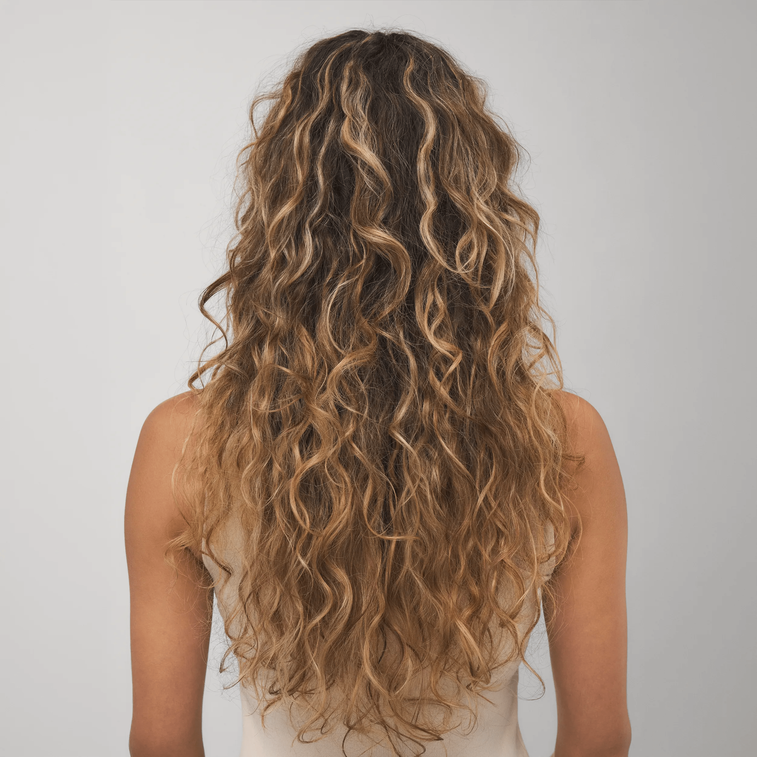 Back view of a model with long curly hair with blonde highlights against a light grey background.