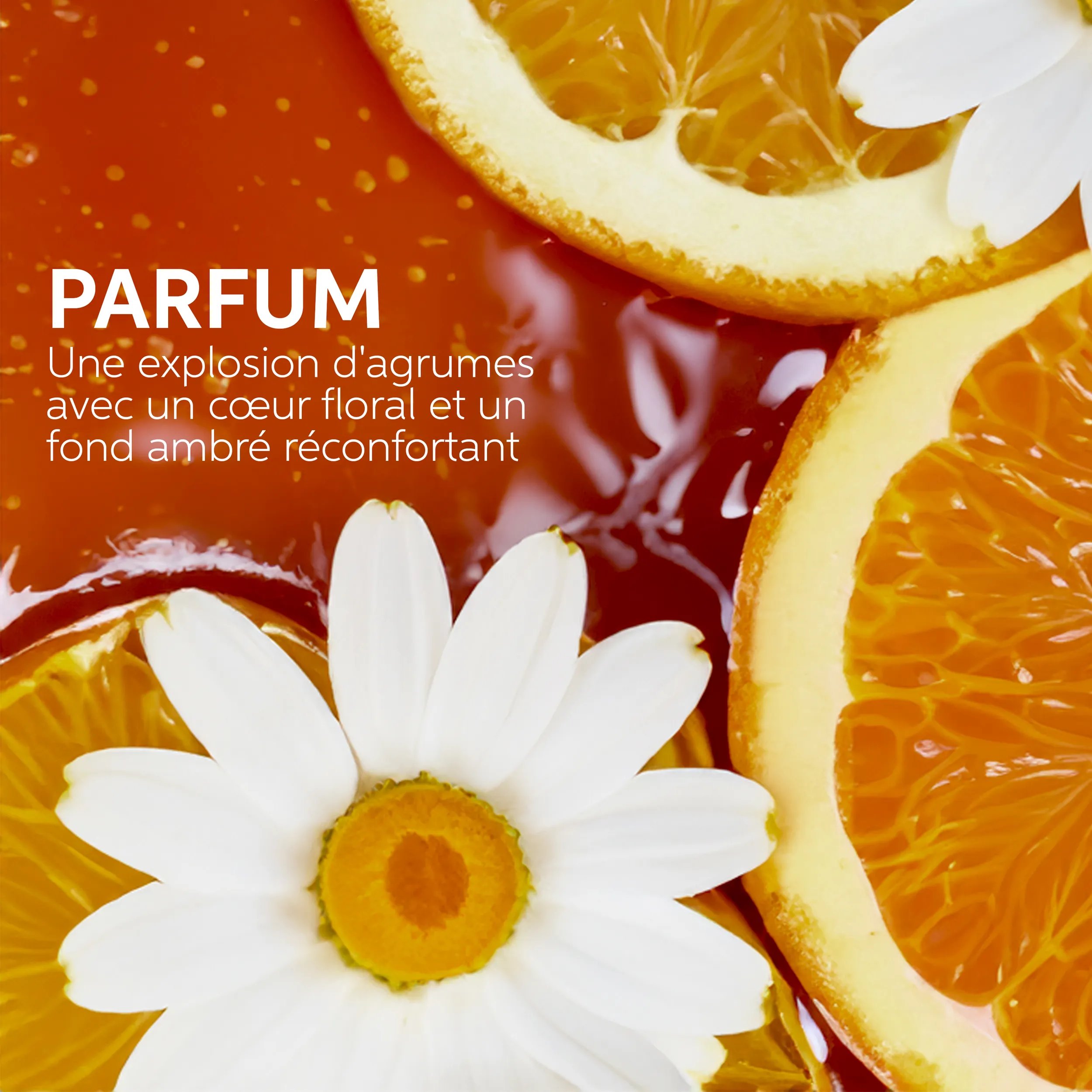Image d'une orange et de fleurs. Le texte se lit parfum citrus pétillant avec un cœur floral bien connu et un fond chaud ambré.