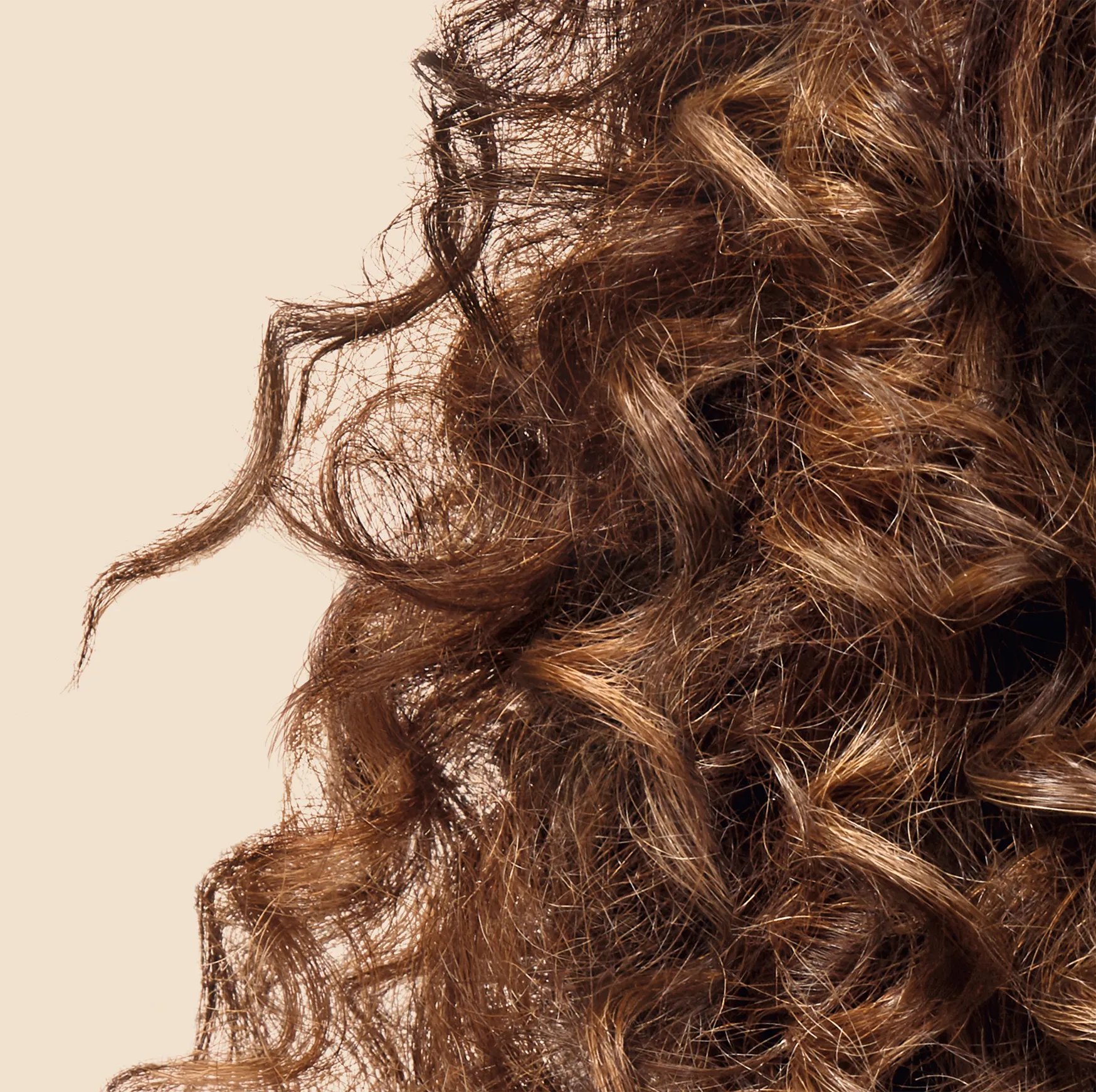 Close-up of model’s curly, brown hair.